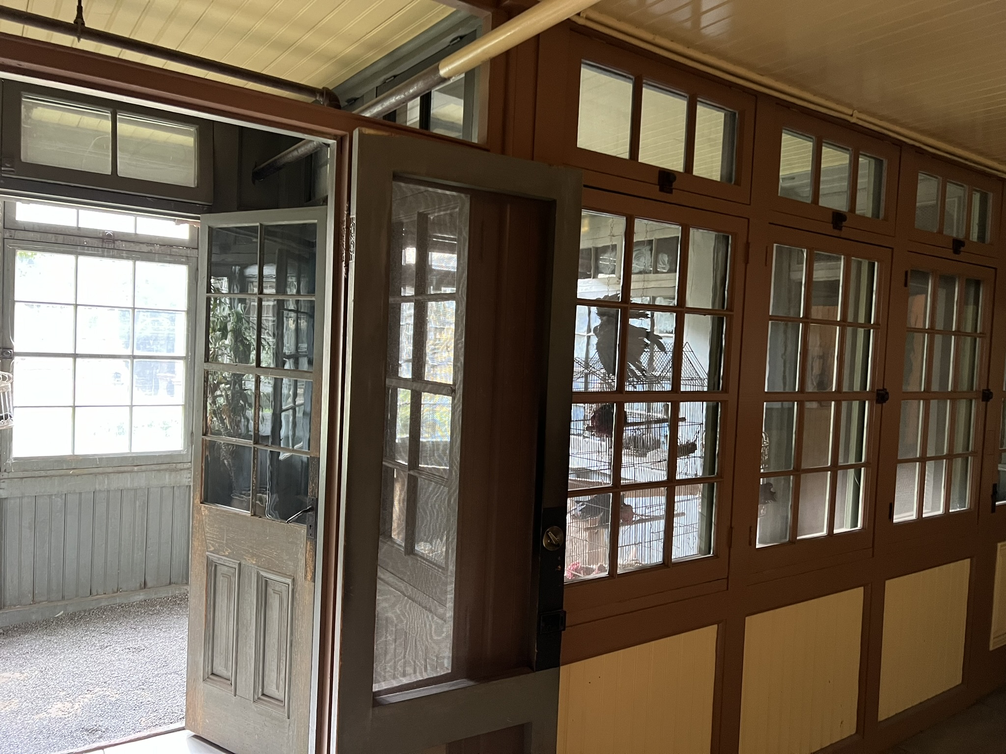 这个房间以前是 Sarah 养鸟的地方