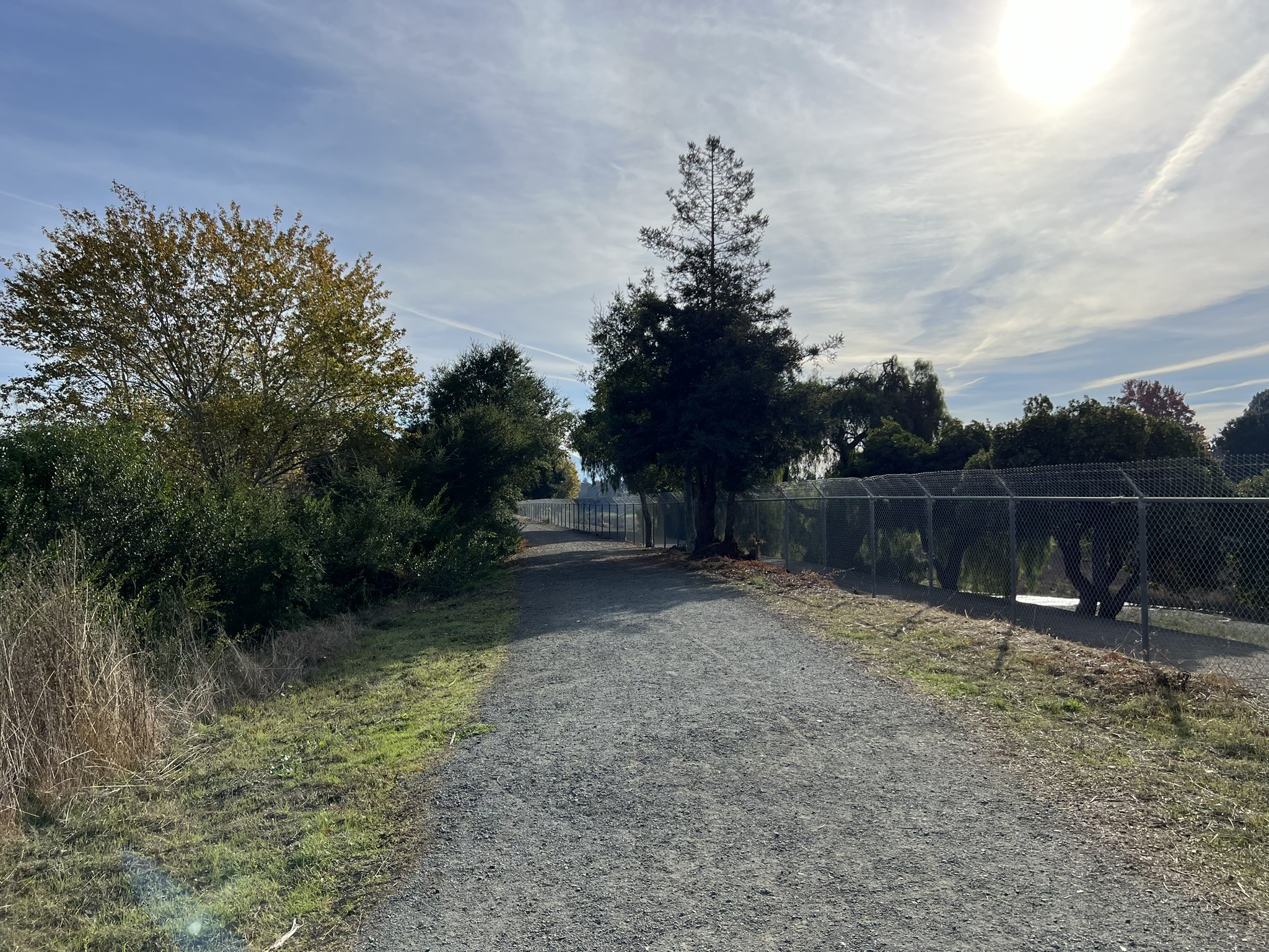 比赛时有一段跑道就是这样的石子路，抓地力不好