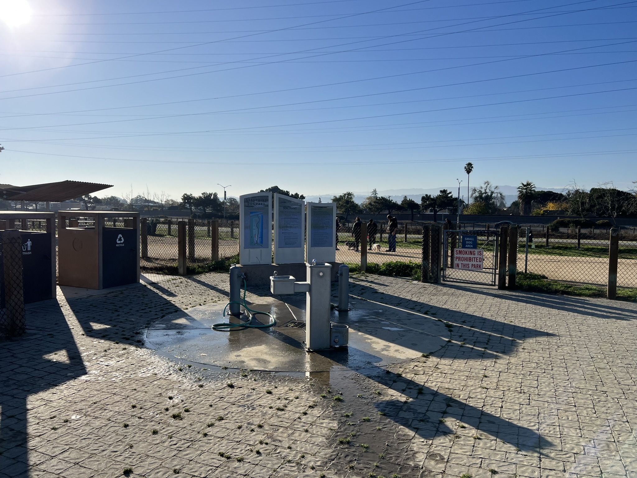 Seal Point Park 内的狗公园