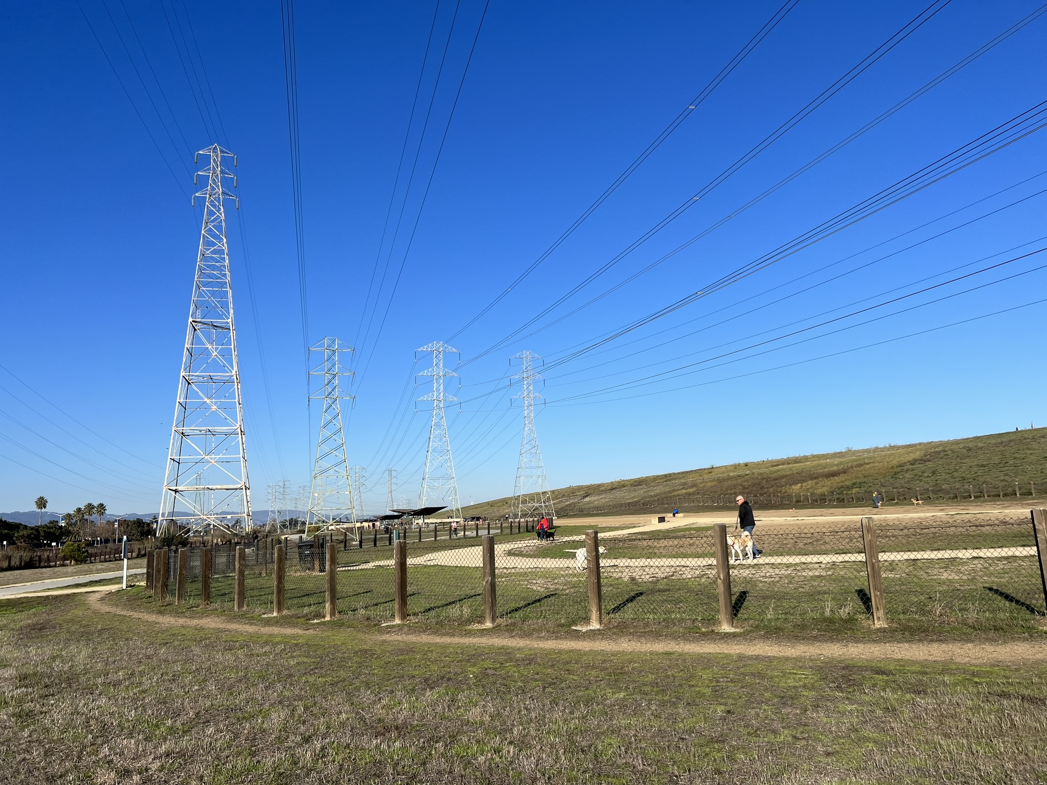 Seal Point Park 内的狗公园