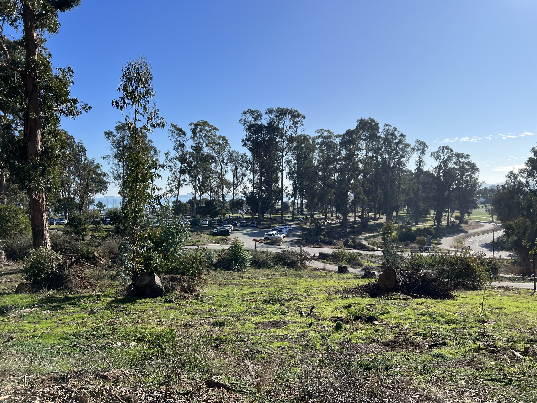 Coyote Point Recreation Area 俯瞰