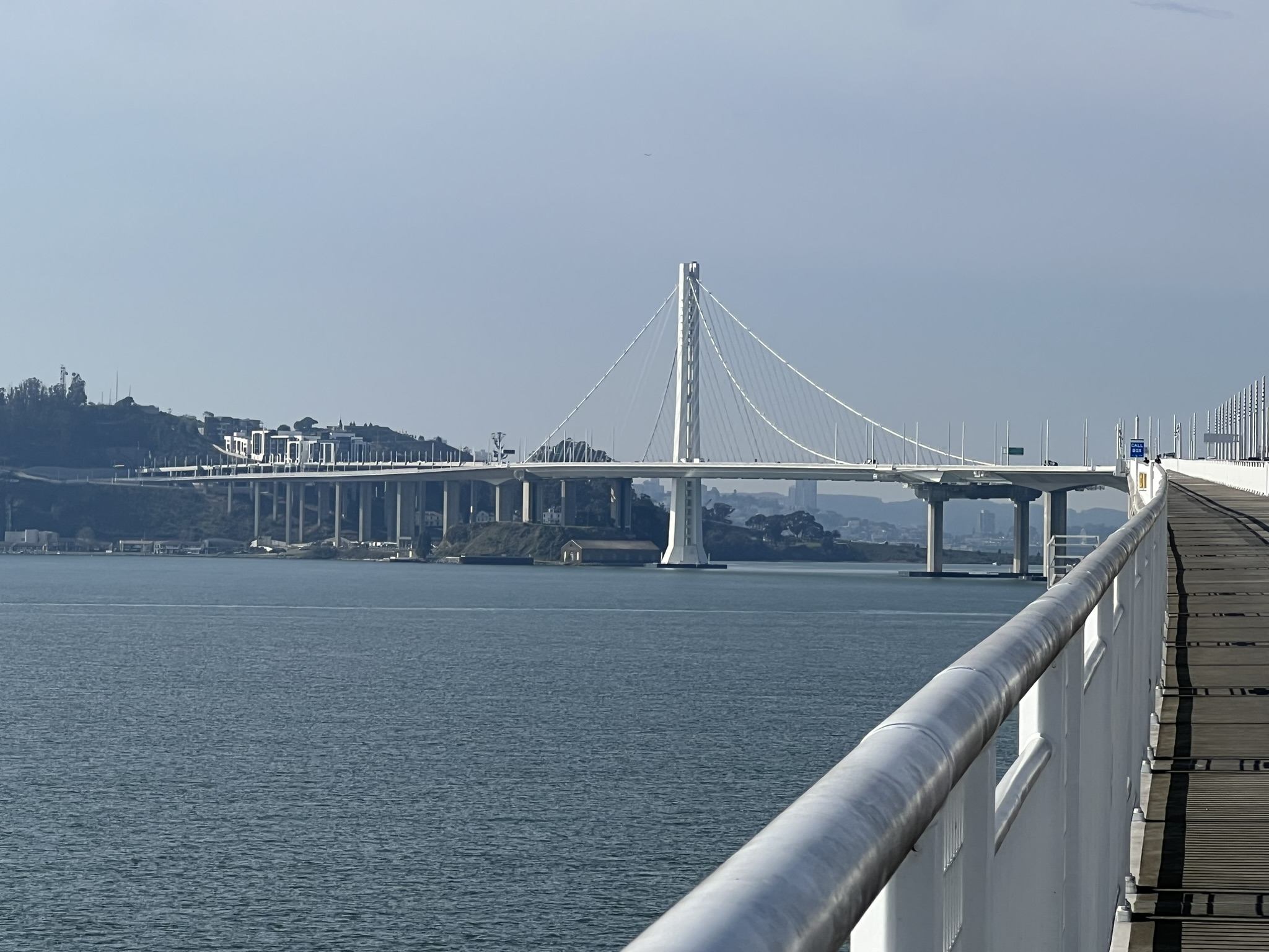 The Bay Bridge