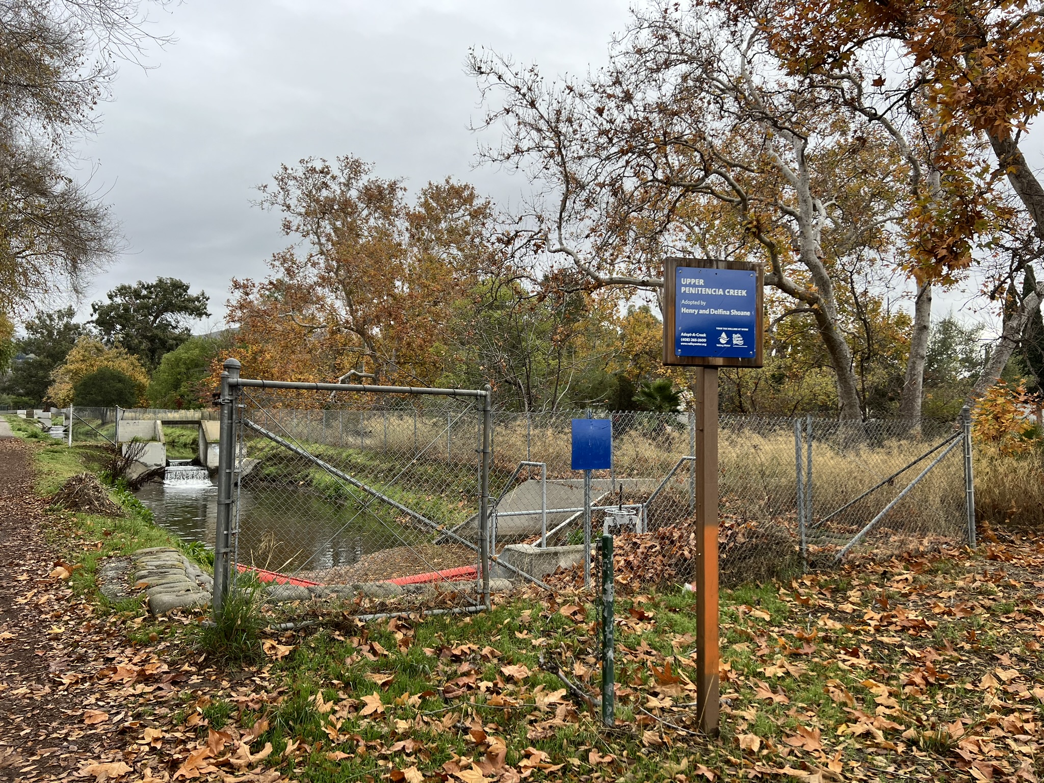 Upper Penitencia Creek