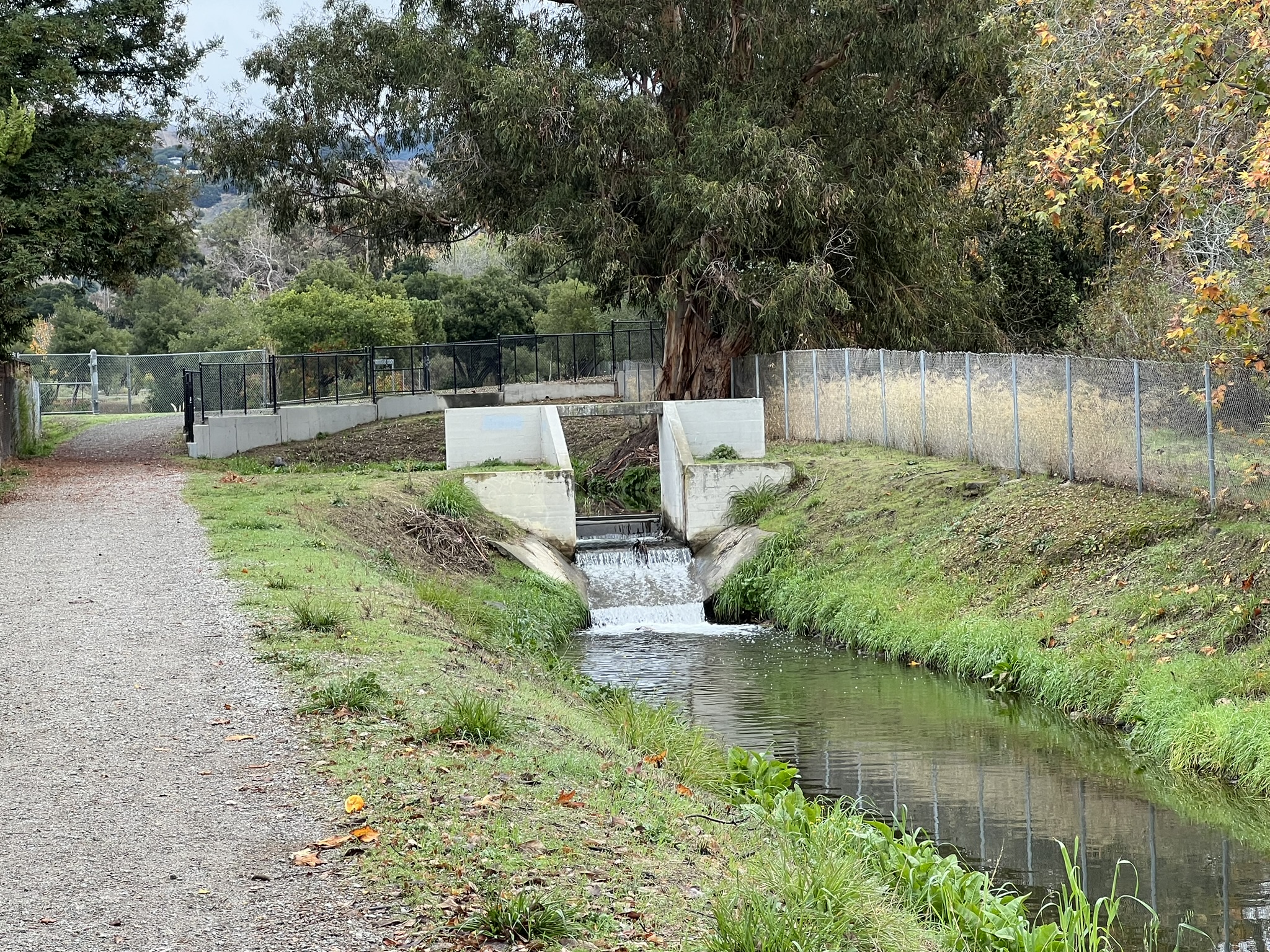 Penitencia Creek Trail