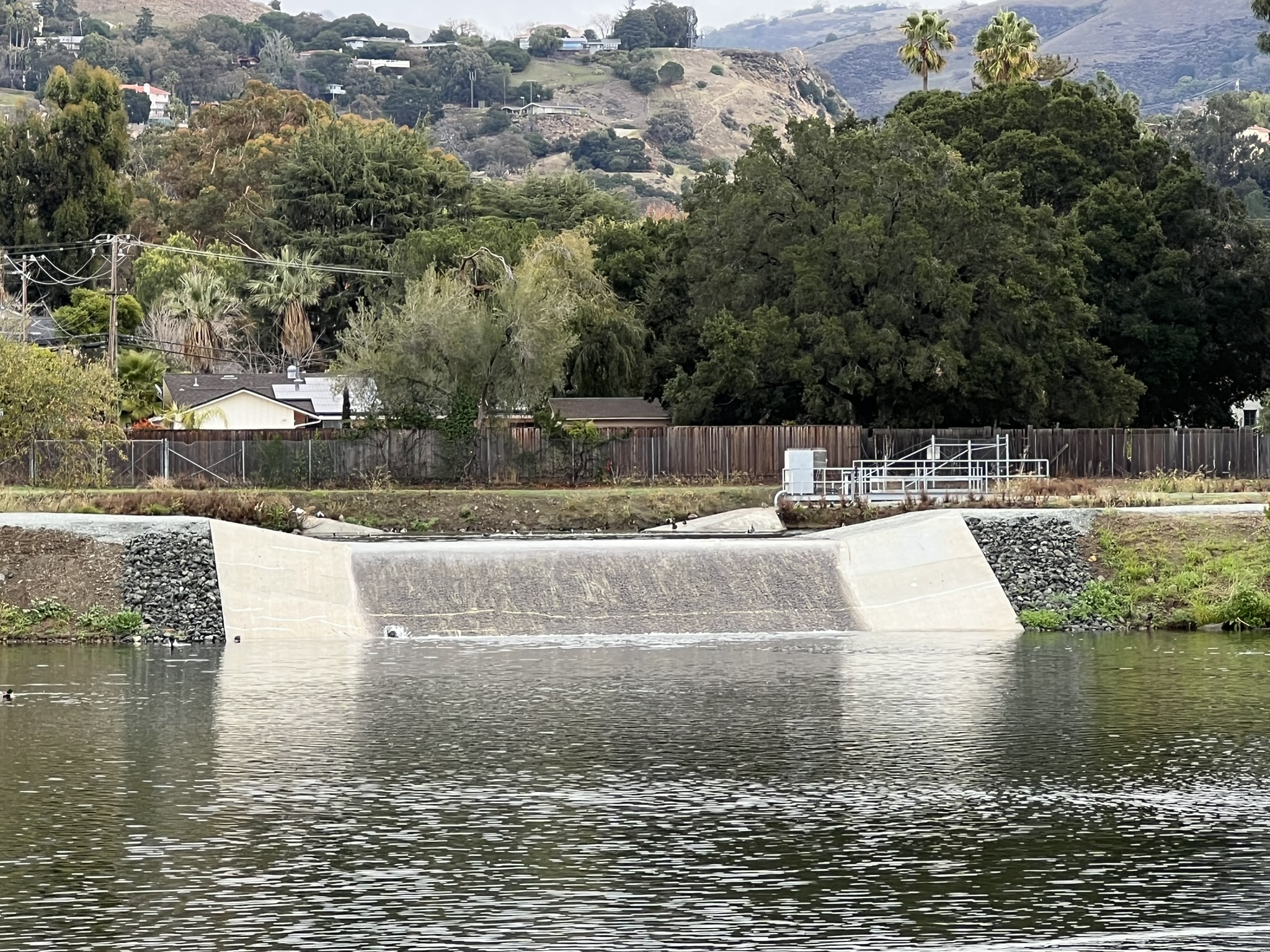 对面似乎是在打架