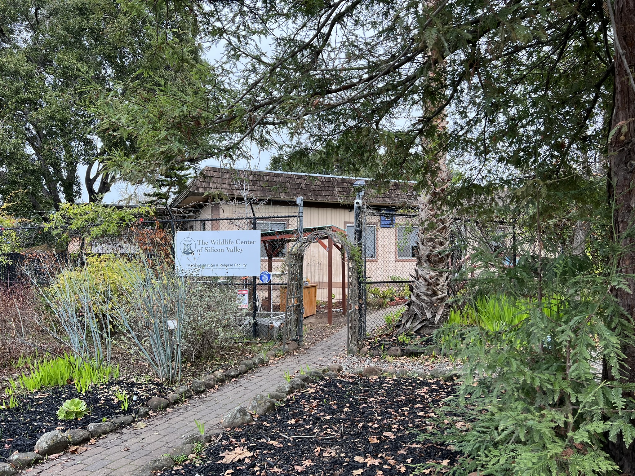 Wildlife Center of Silicon Valley