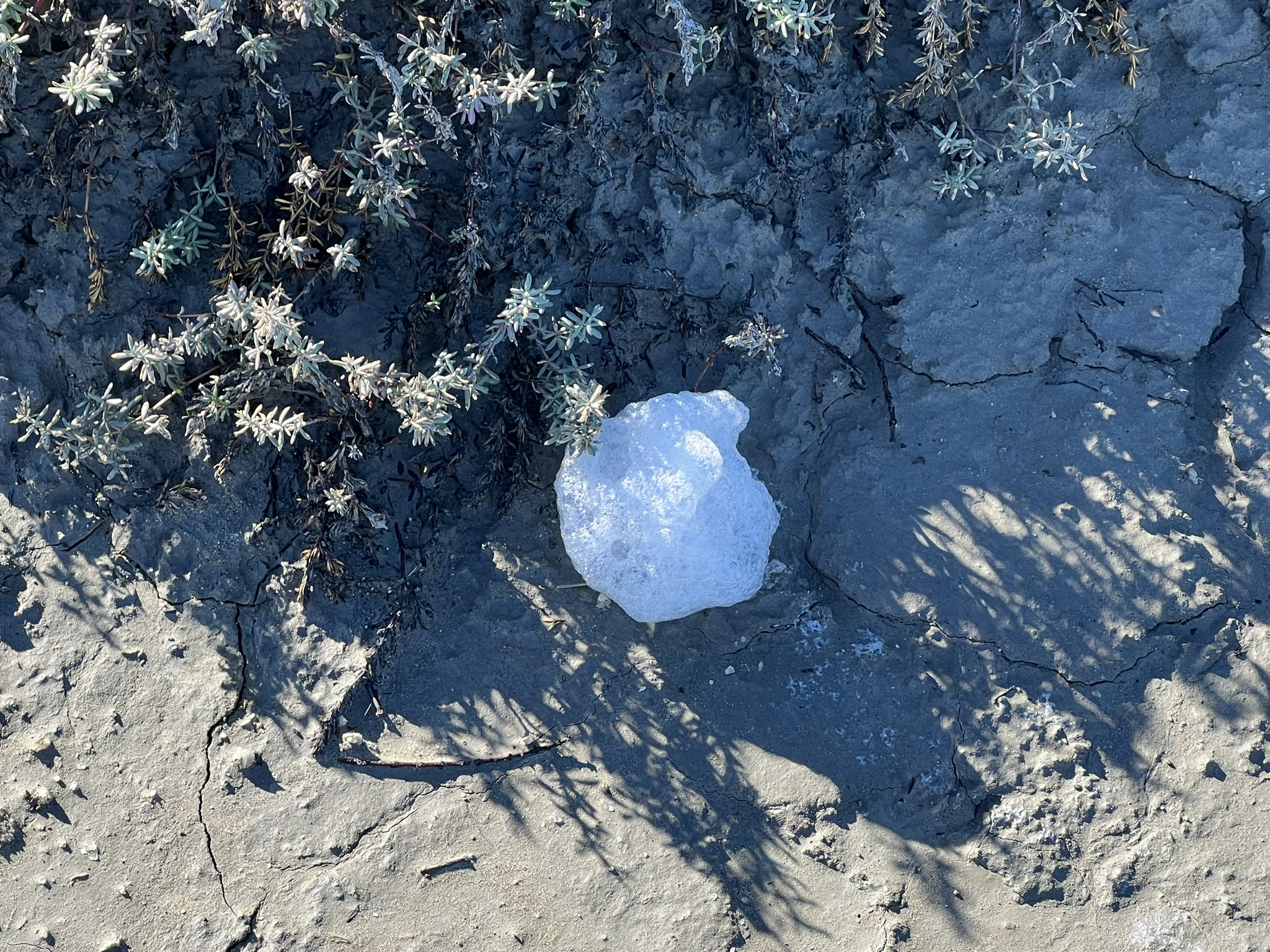不是肥皂泡沫，而是蛋白质泡沫
