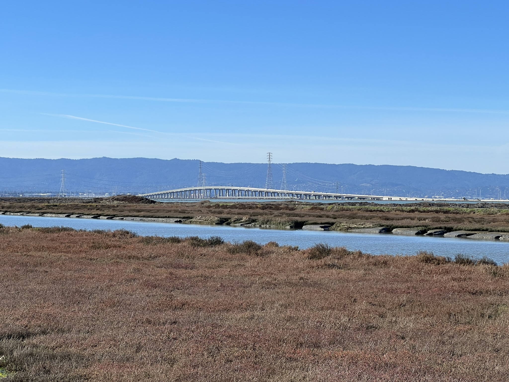Dumbarton Bridge