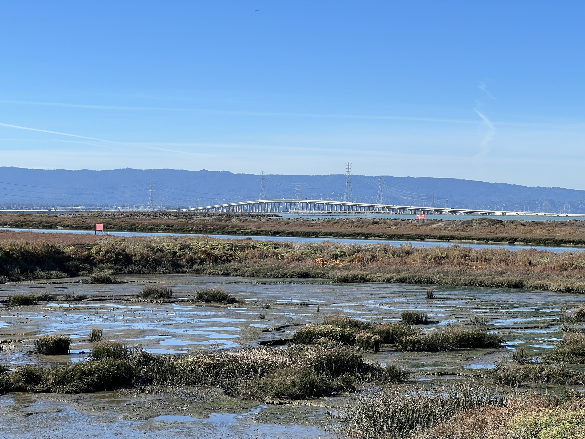 Dumbarton Bridge