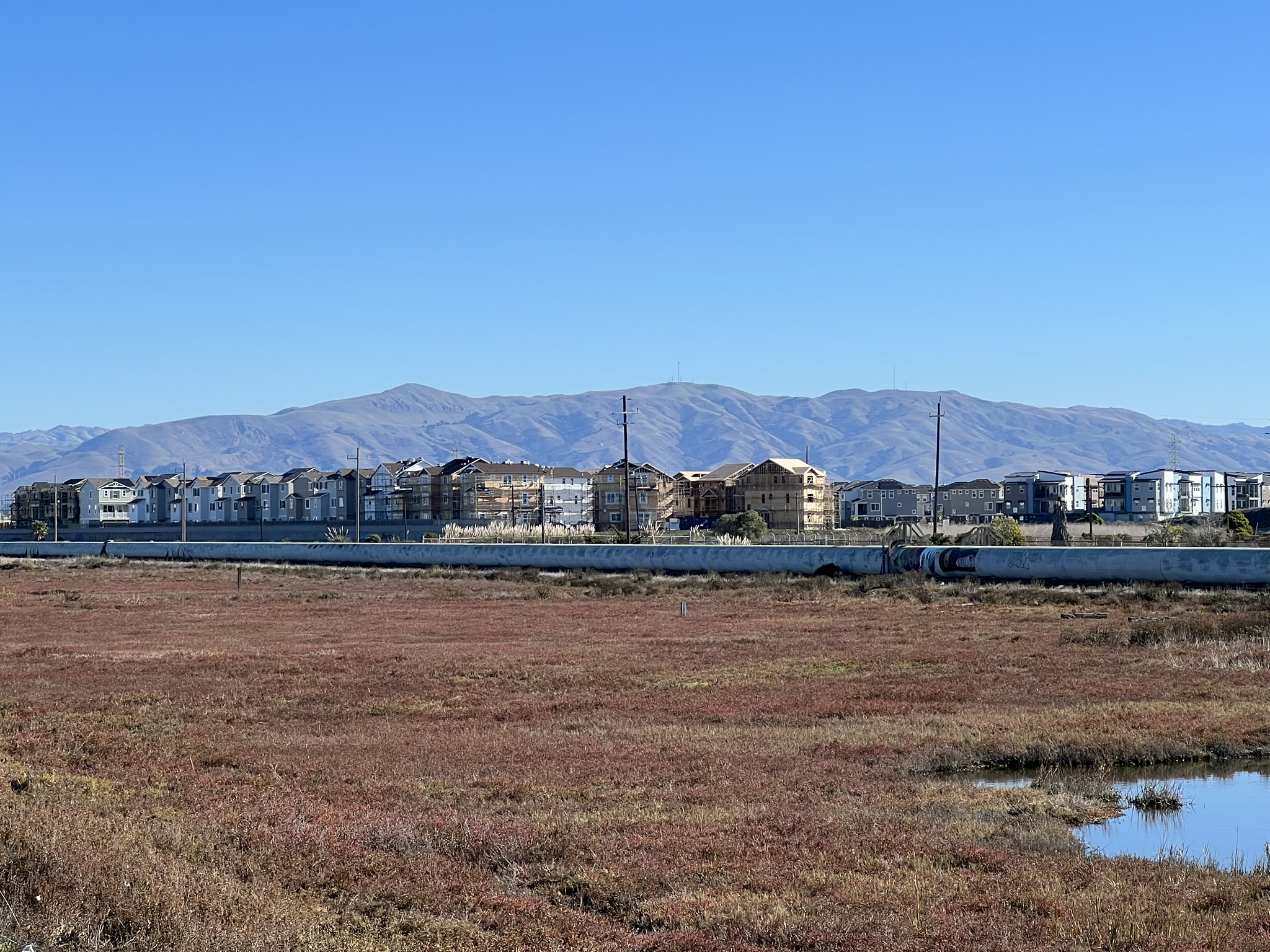 对面新建的住宅