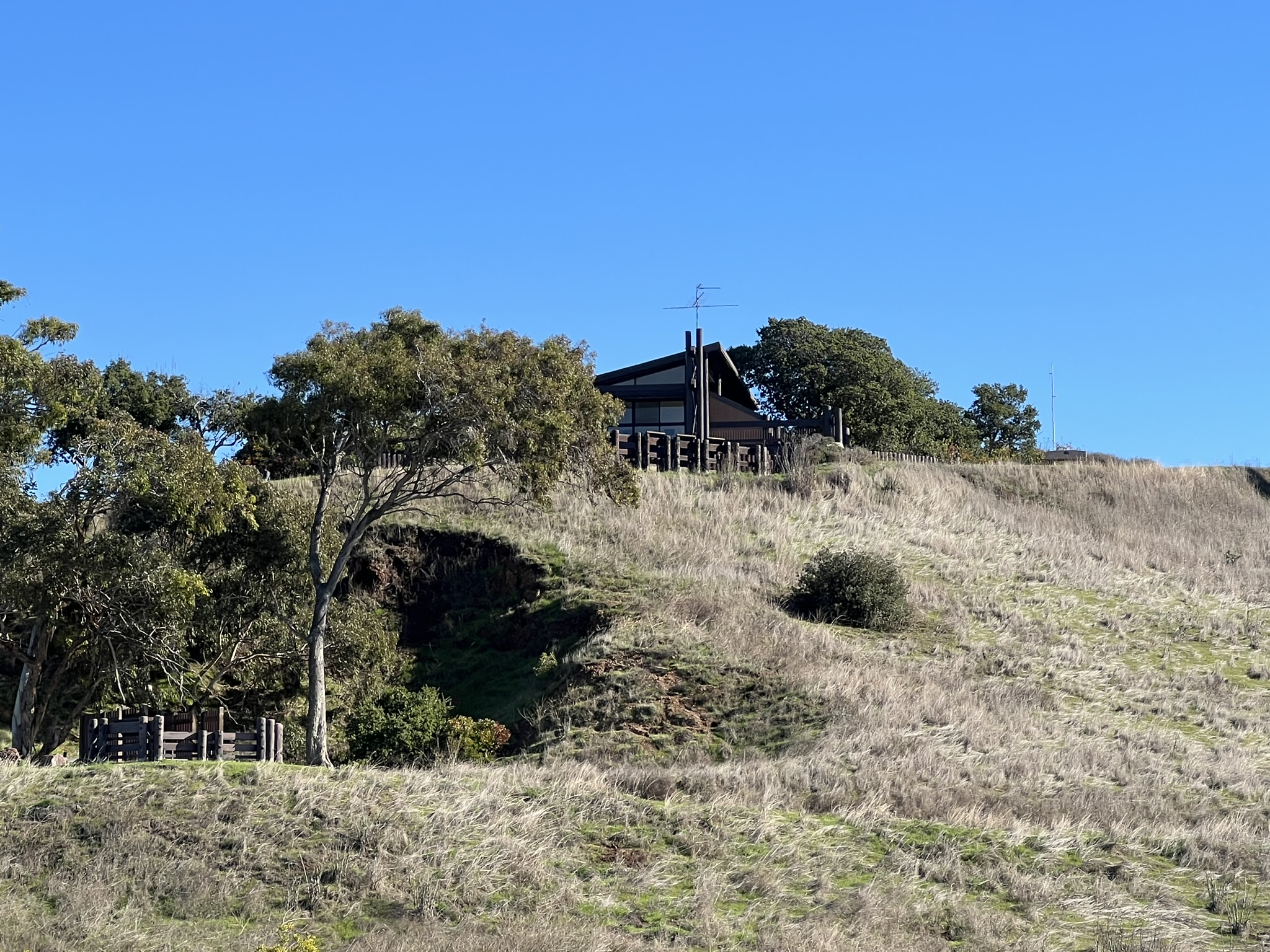 San Francisco Bay National Wildlife Refuge Complex 在山上