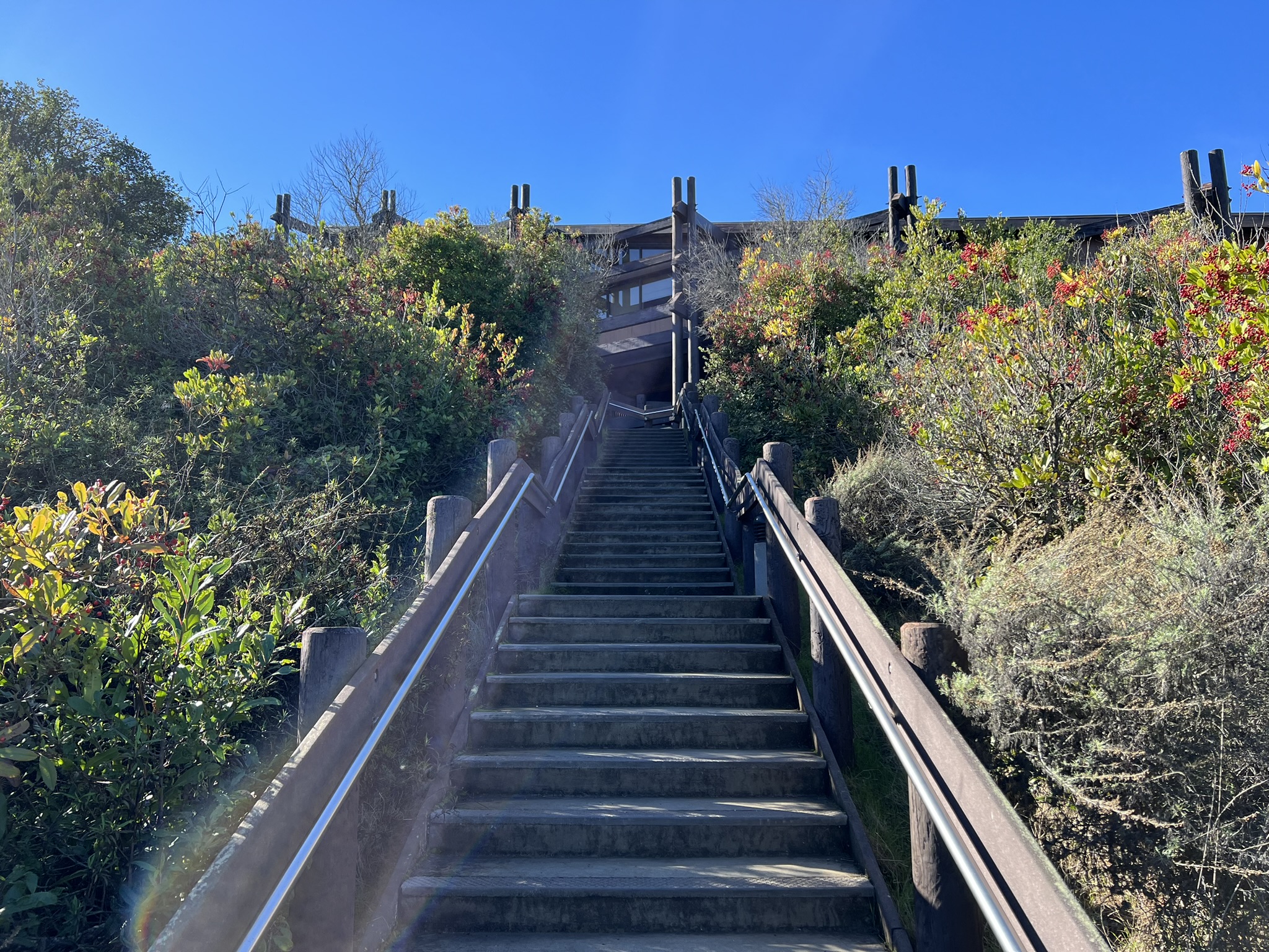 San Francisco Bay National Wildlife Refuge Complex