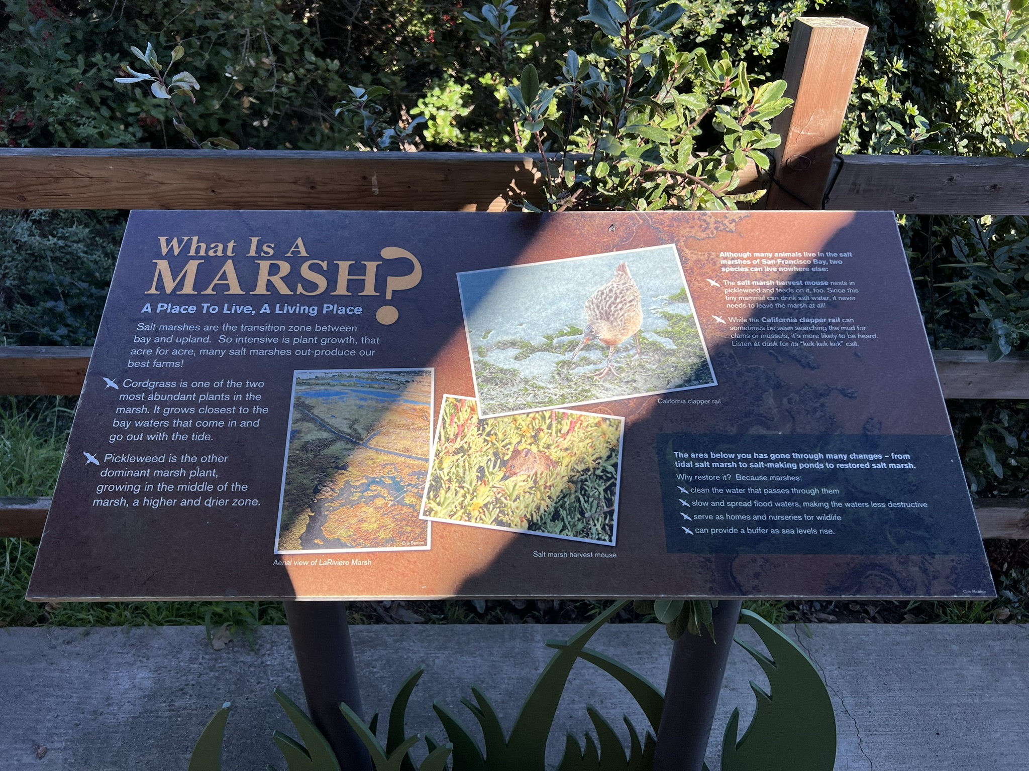 Don Edwards San Francisco Bay National Wildlife Refuge Visiting Center