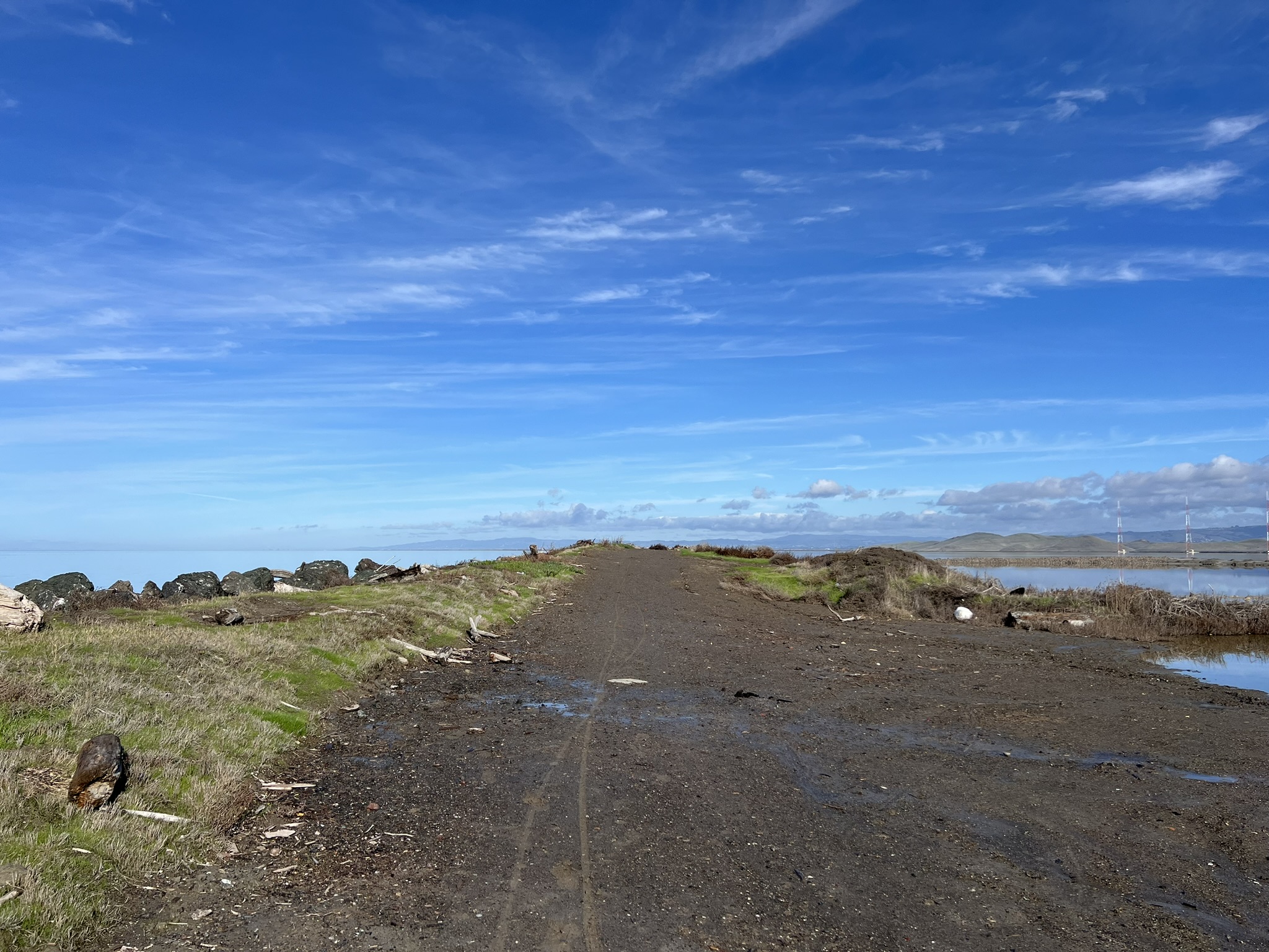 Shoreline Trail