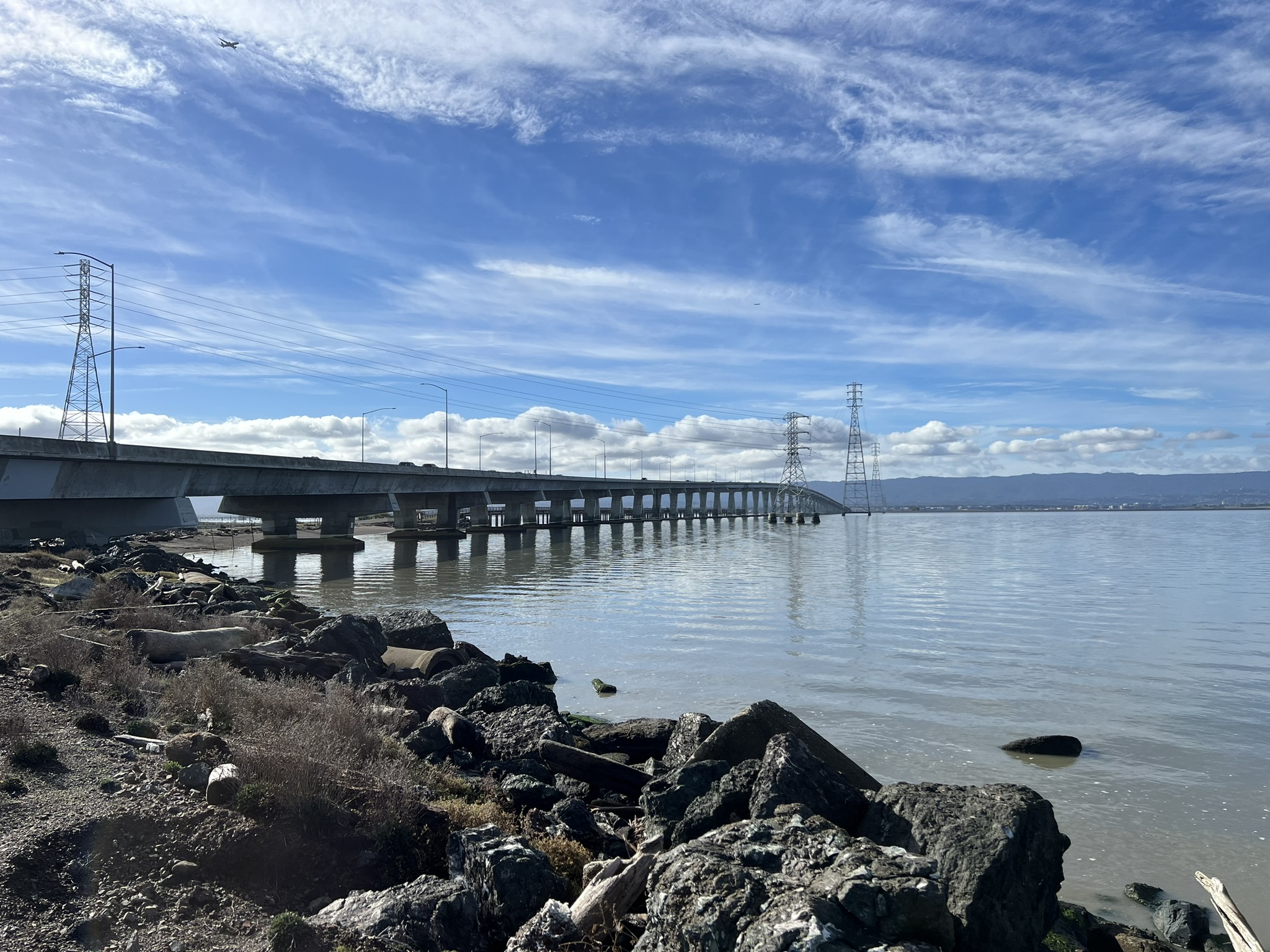 Shoreline
