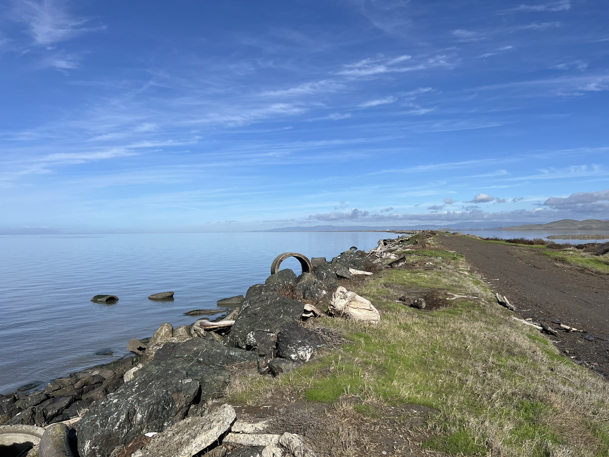 Shoreline