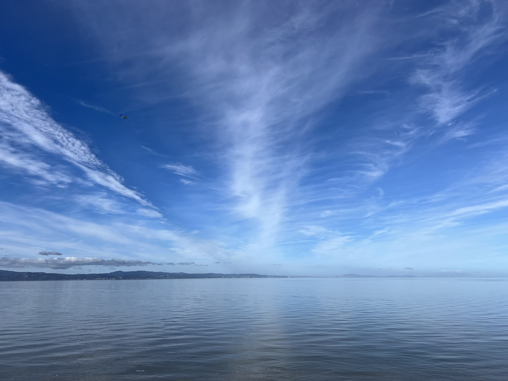 Shoreline