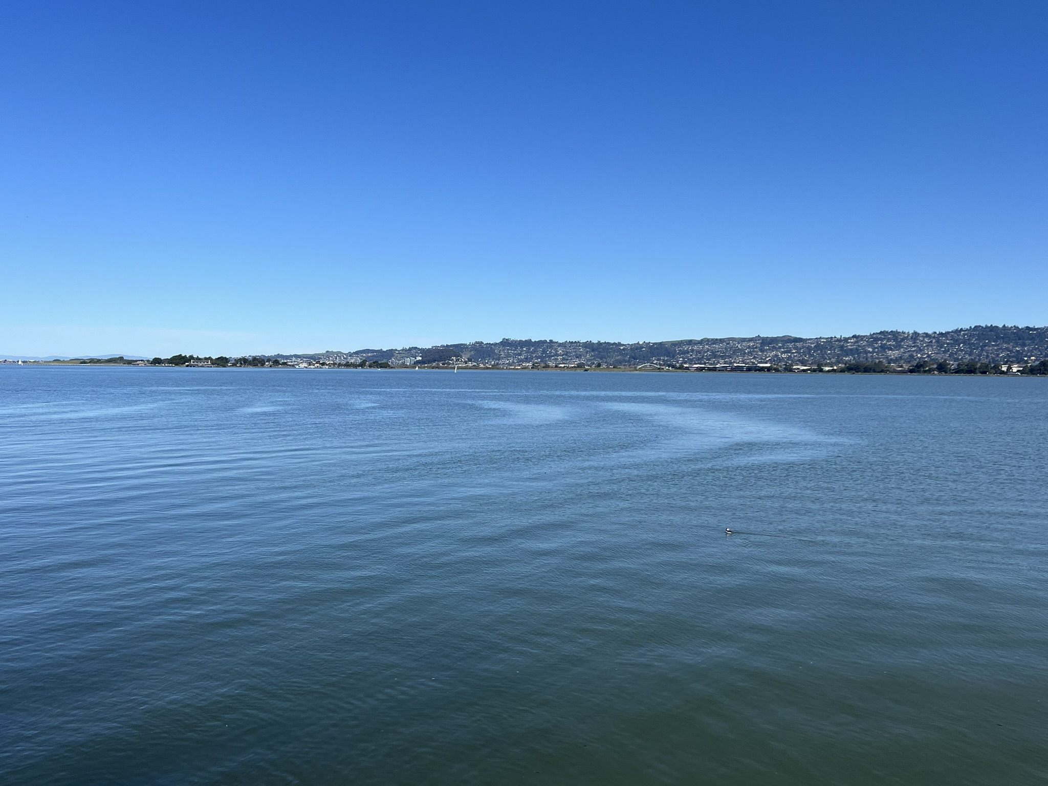 海湾