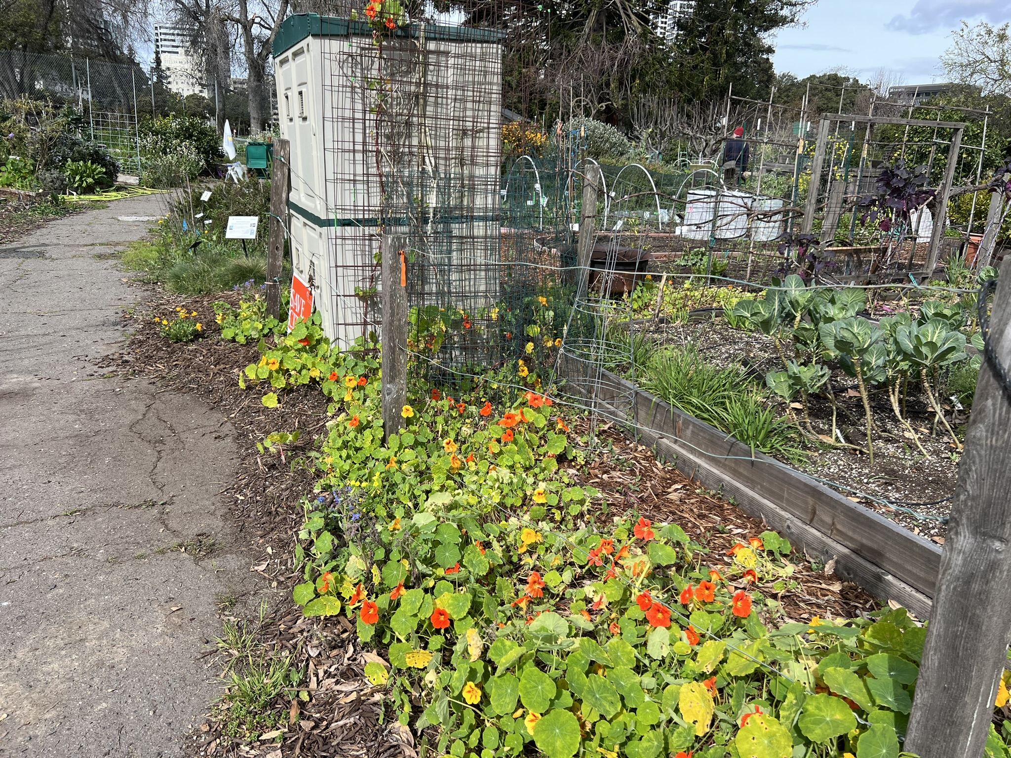 花