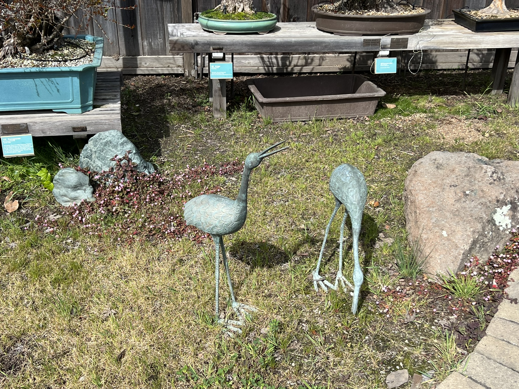 铜鸟