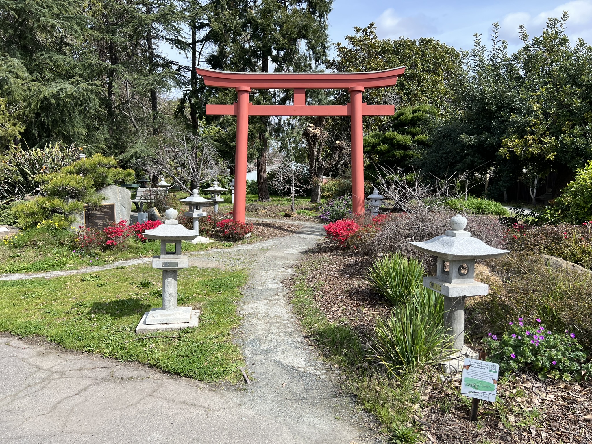 鸟居