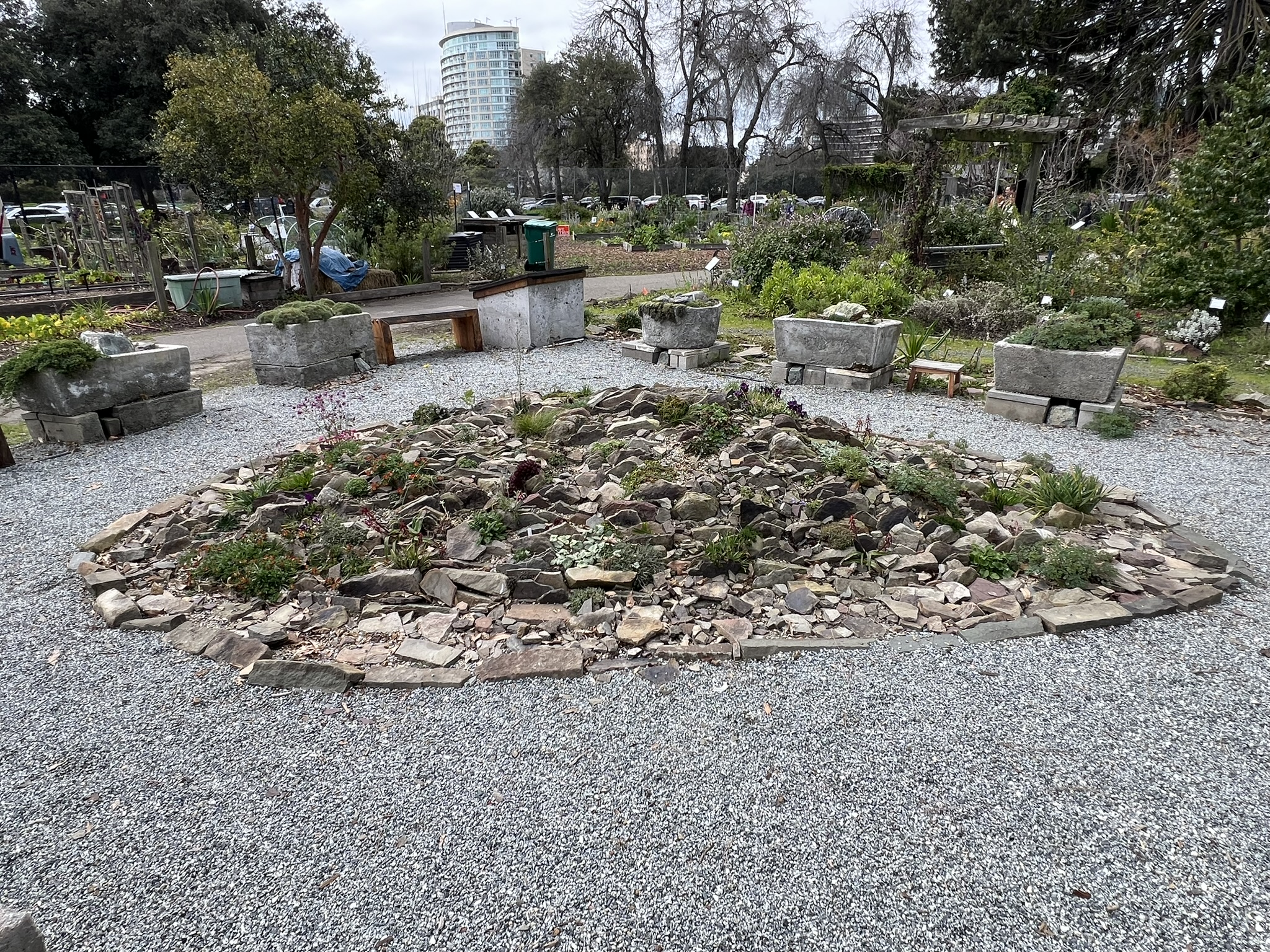 盆景