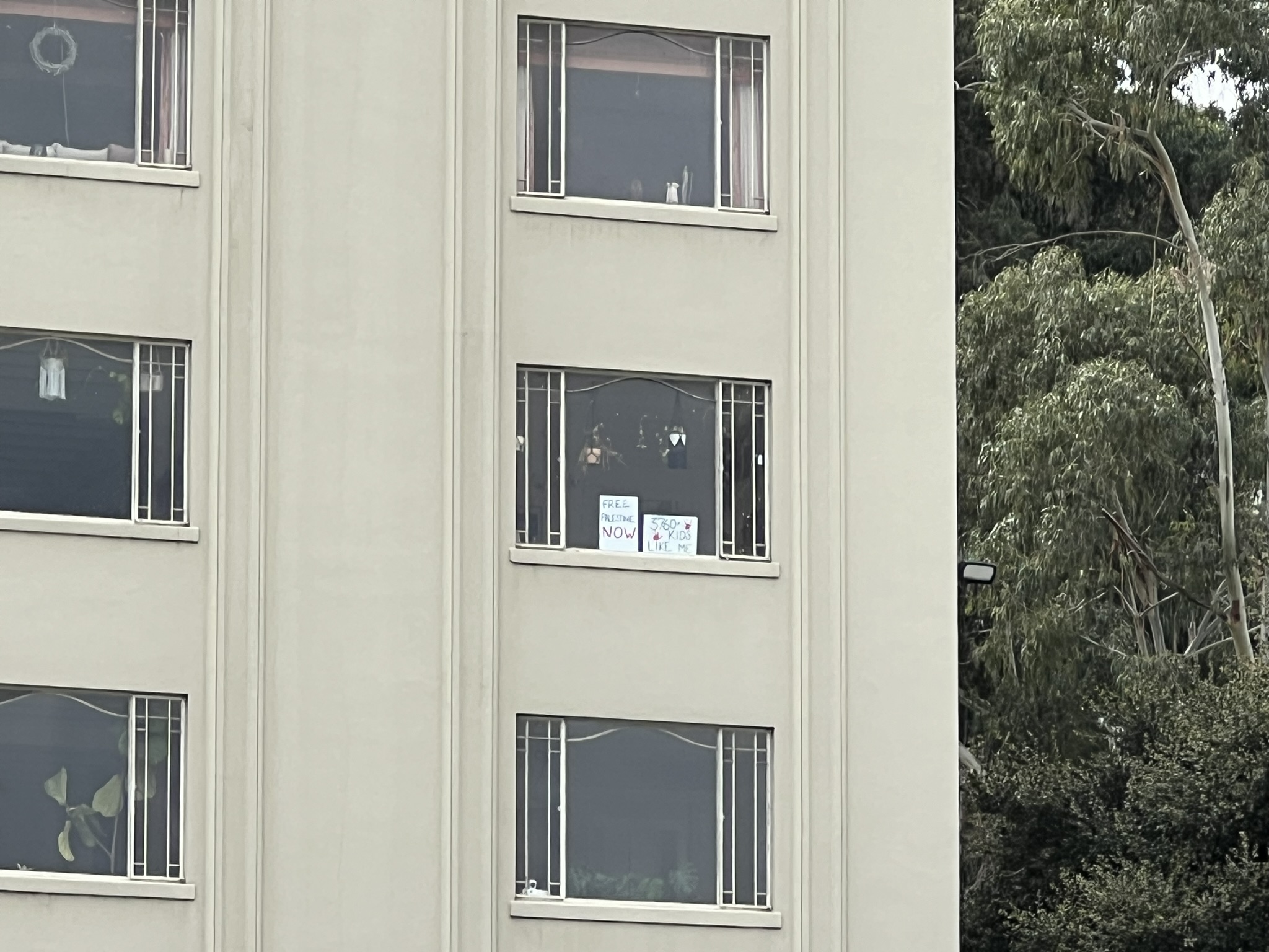 上面写了啥