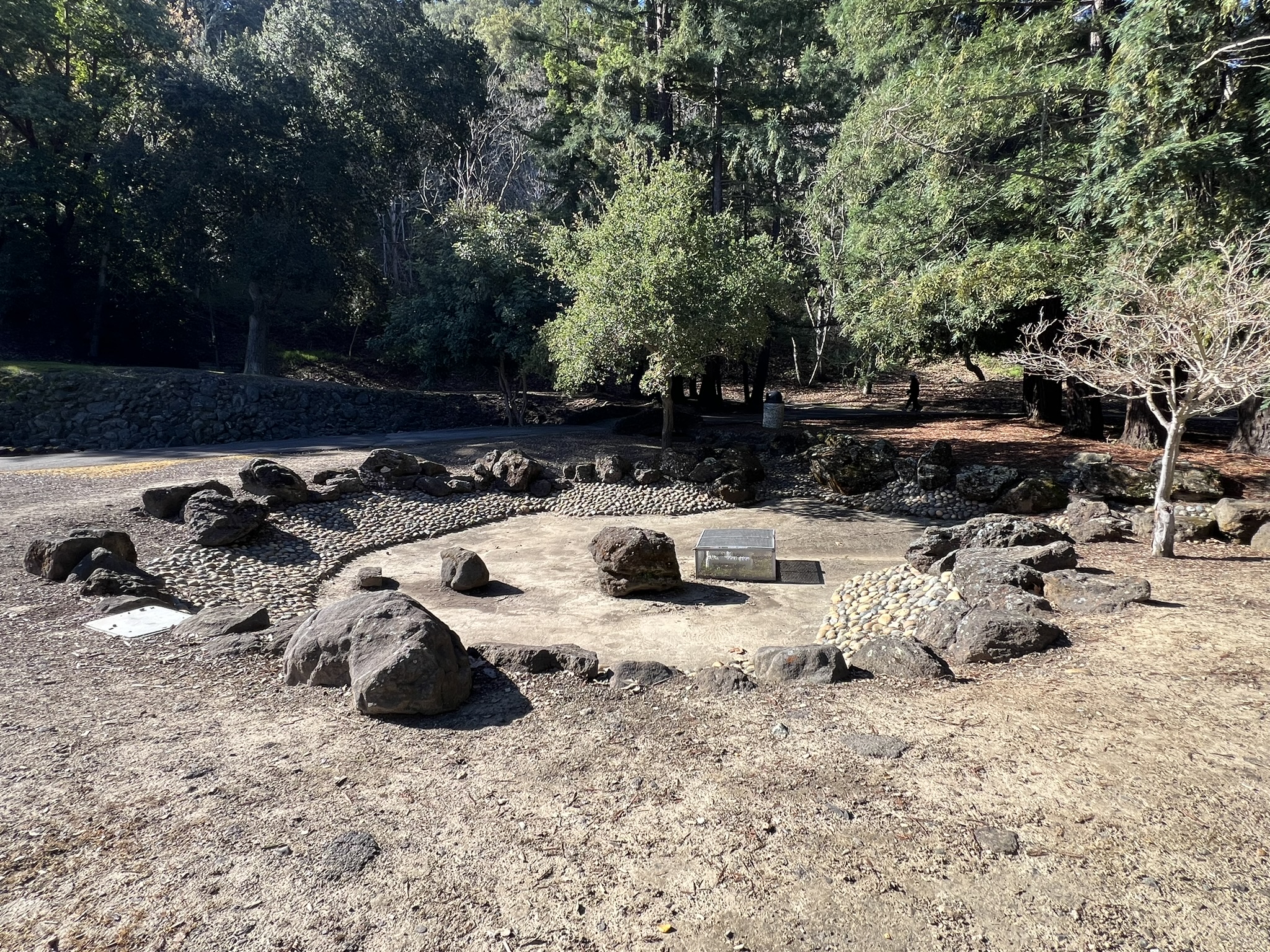小池塘并没有水