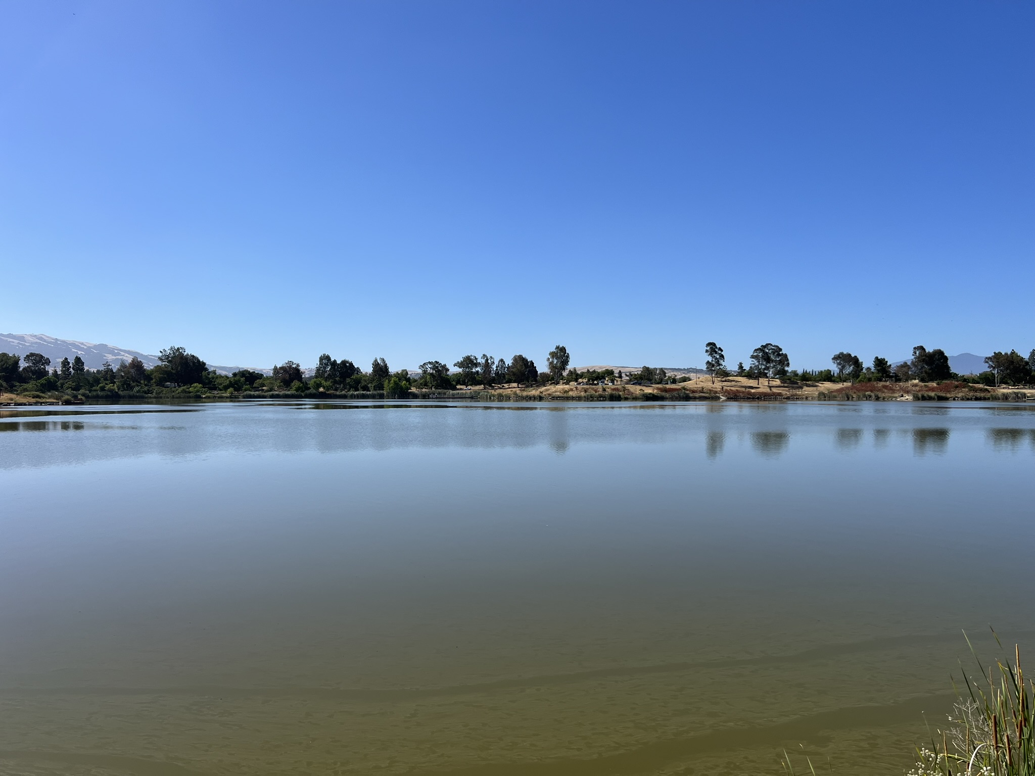 Lake Cunningham