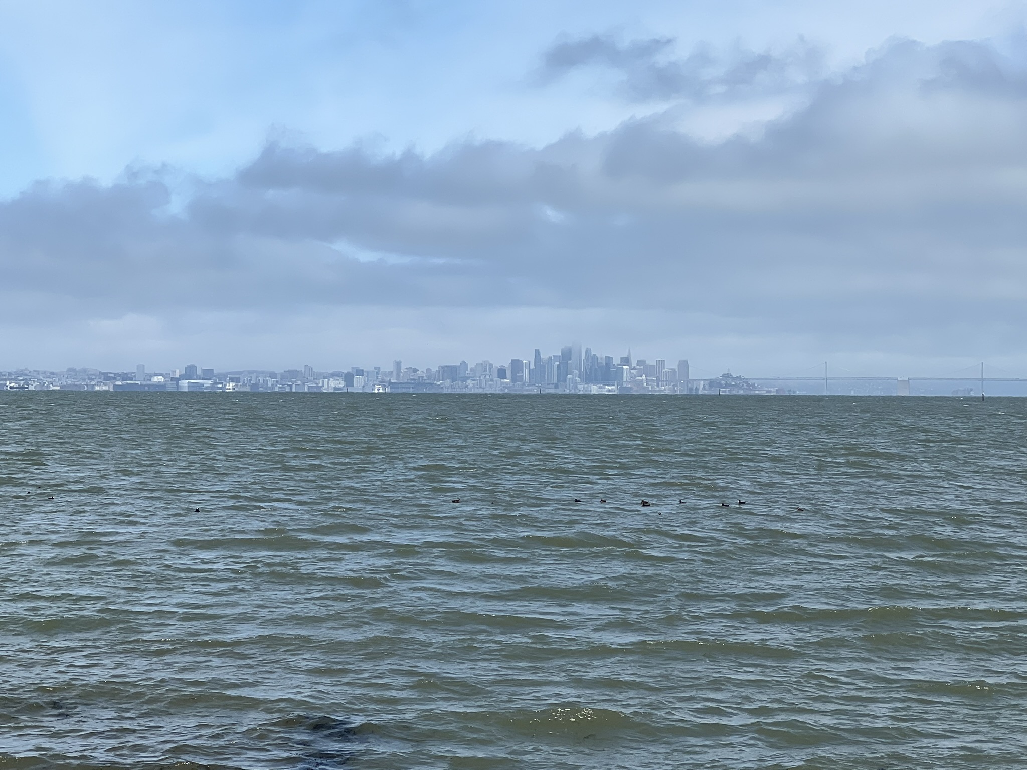 San Francisco