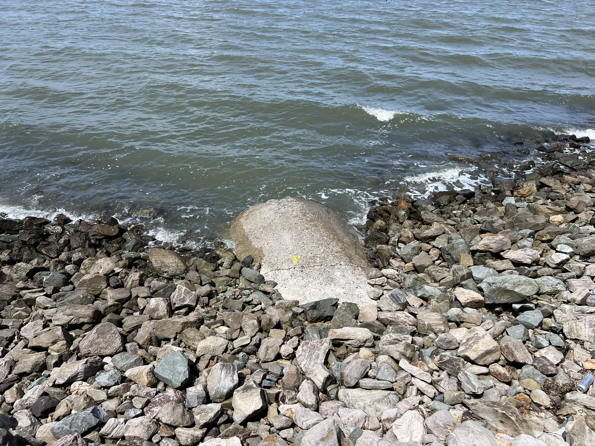 排水口
