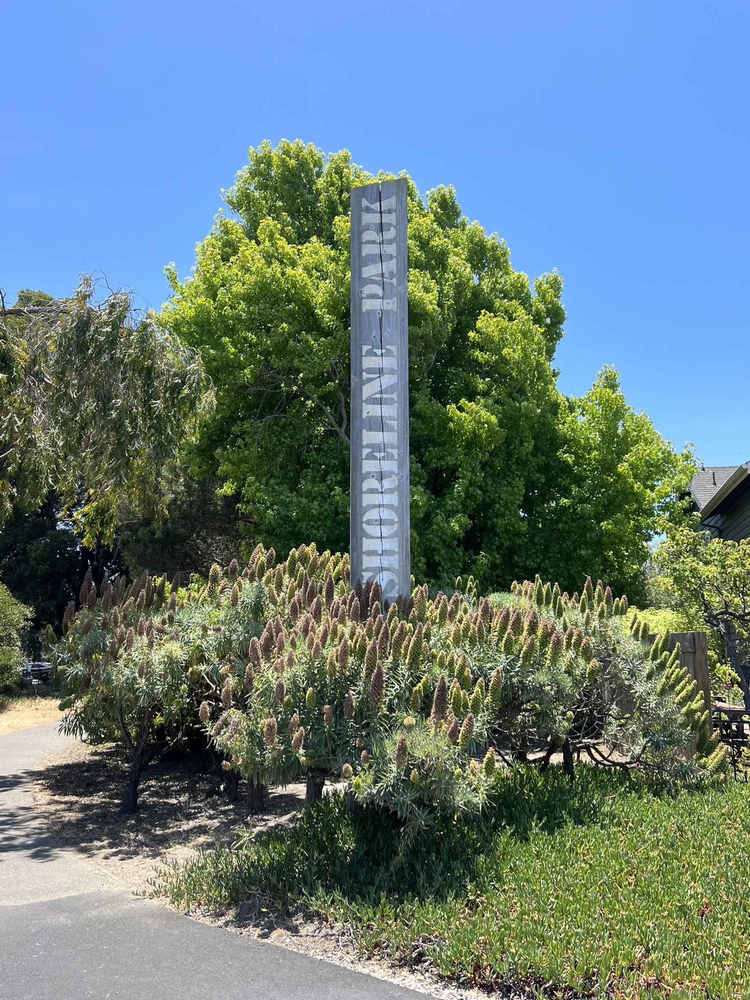 Shoreline Park