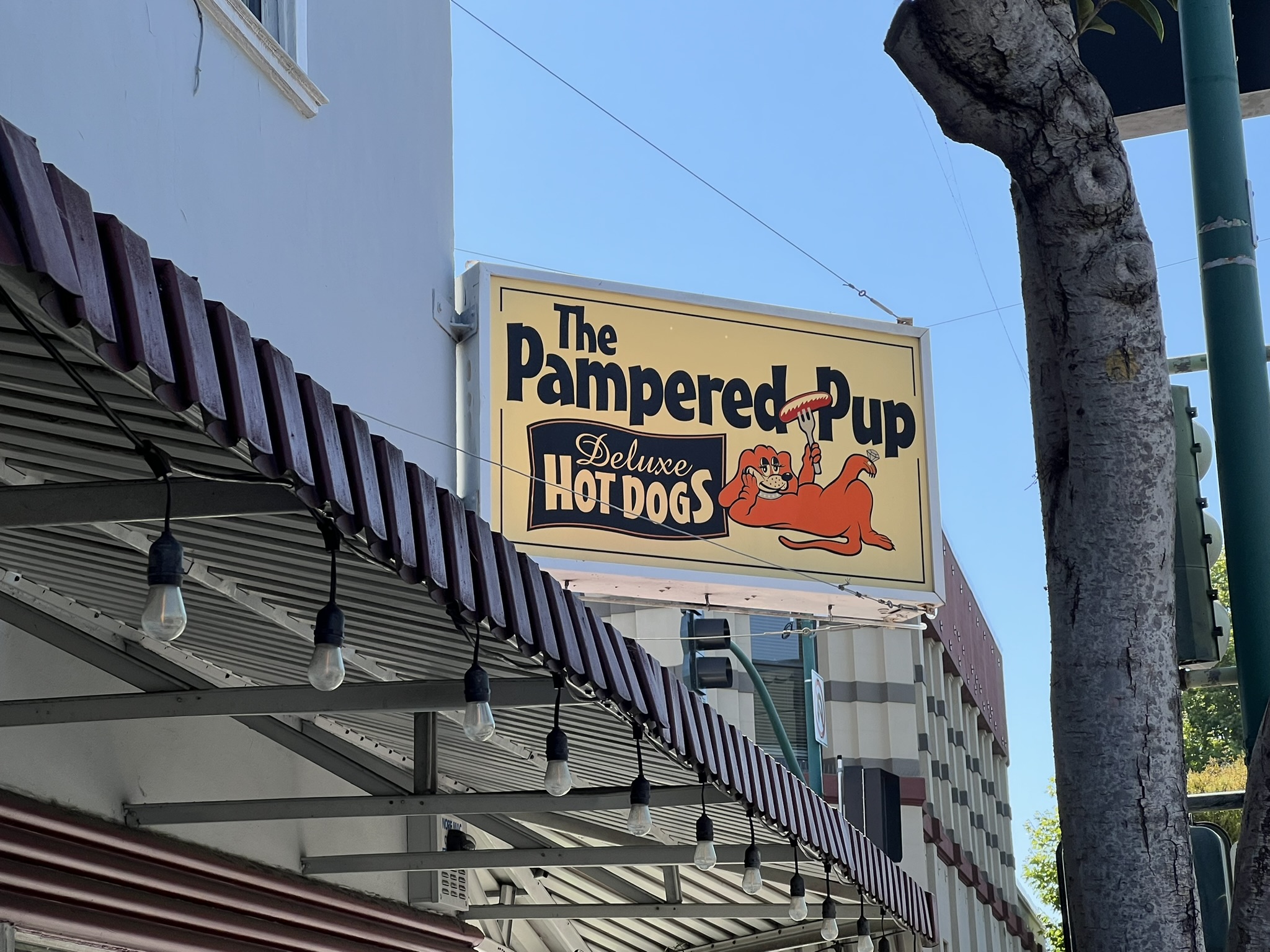性感的热狗店