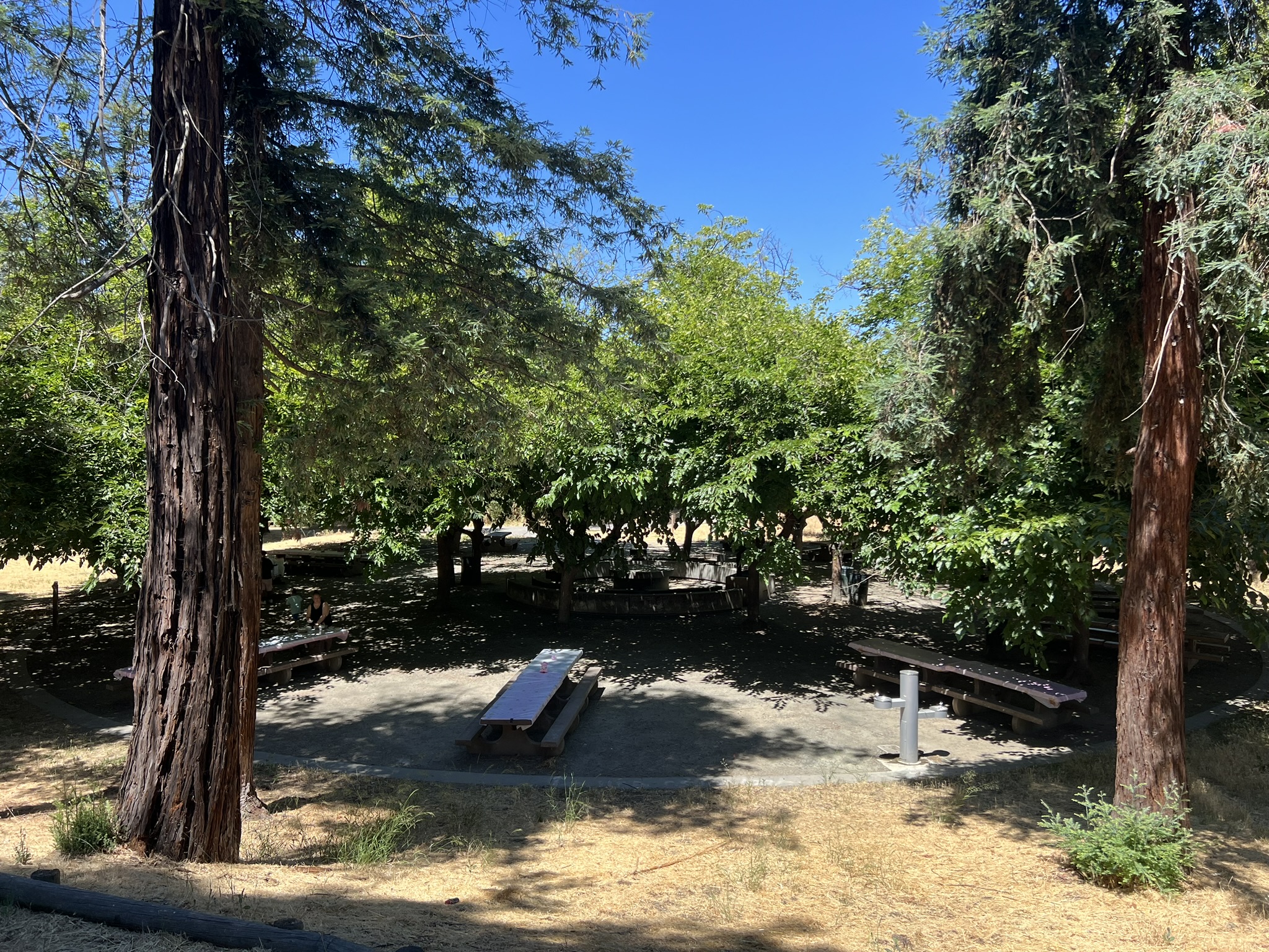 Kelly Park