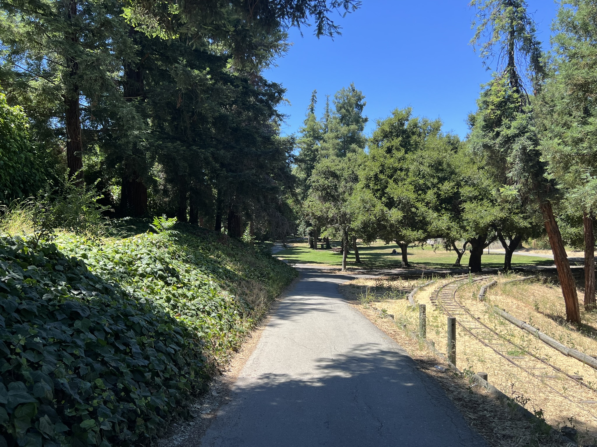 Kelly Park