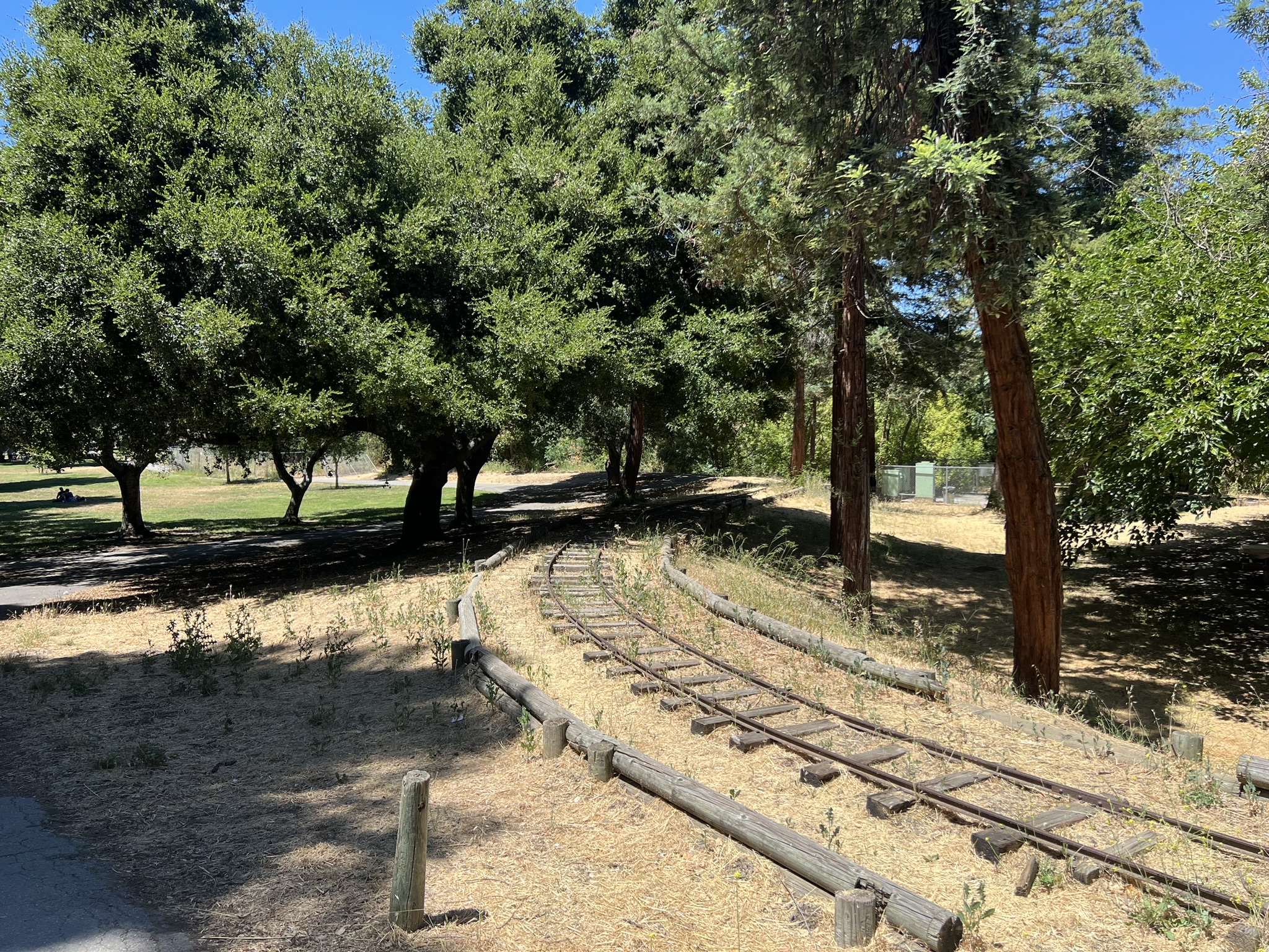 Kelly Park