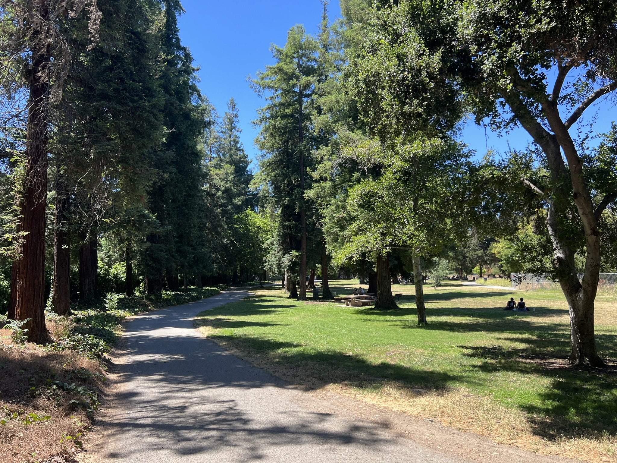Kelly Park