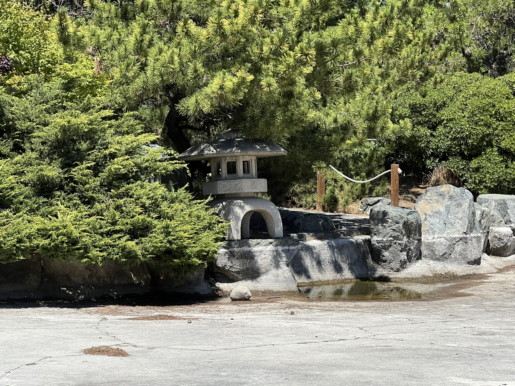 没有水的池塘
