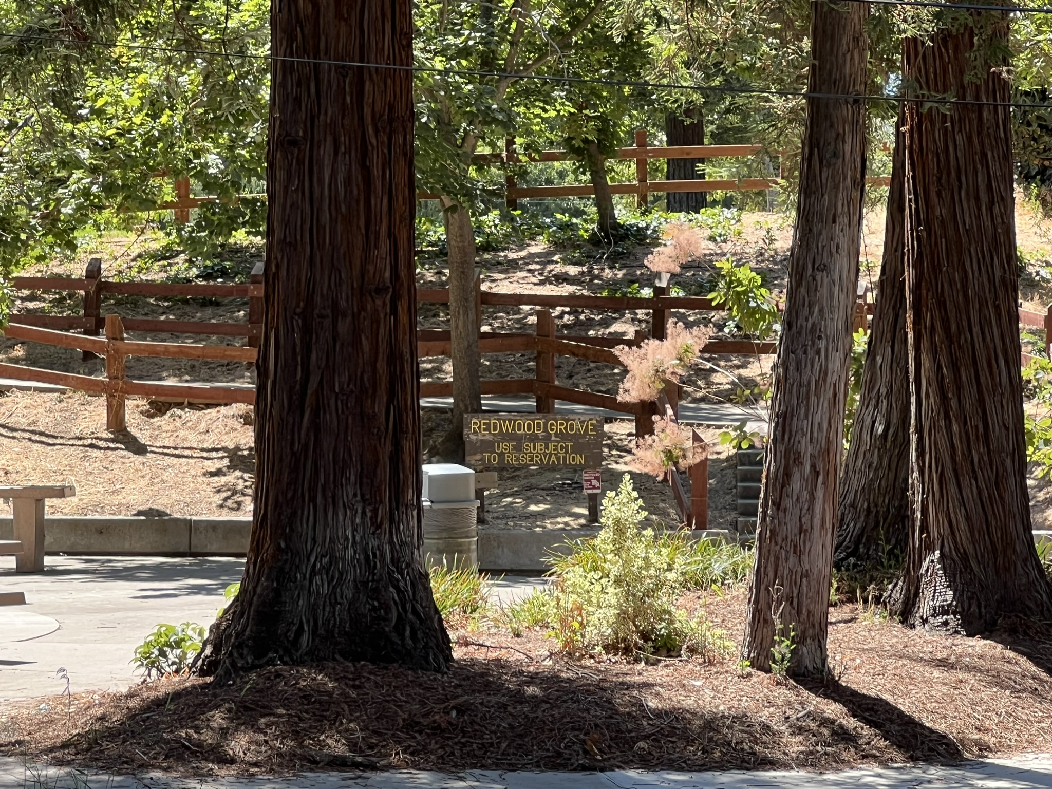 Kelly Park