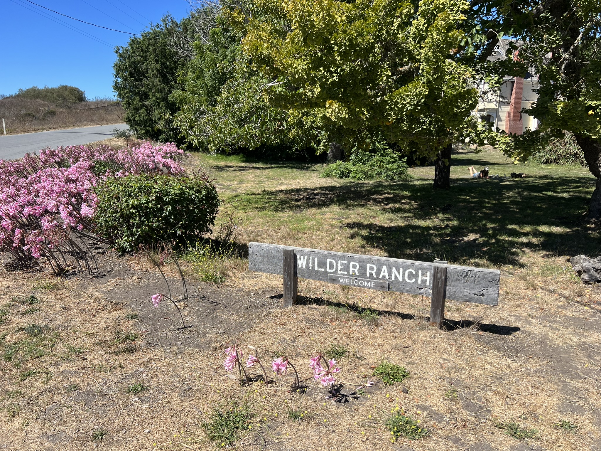 Wilder Ranch
