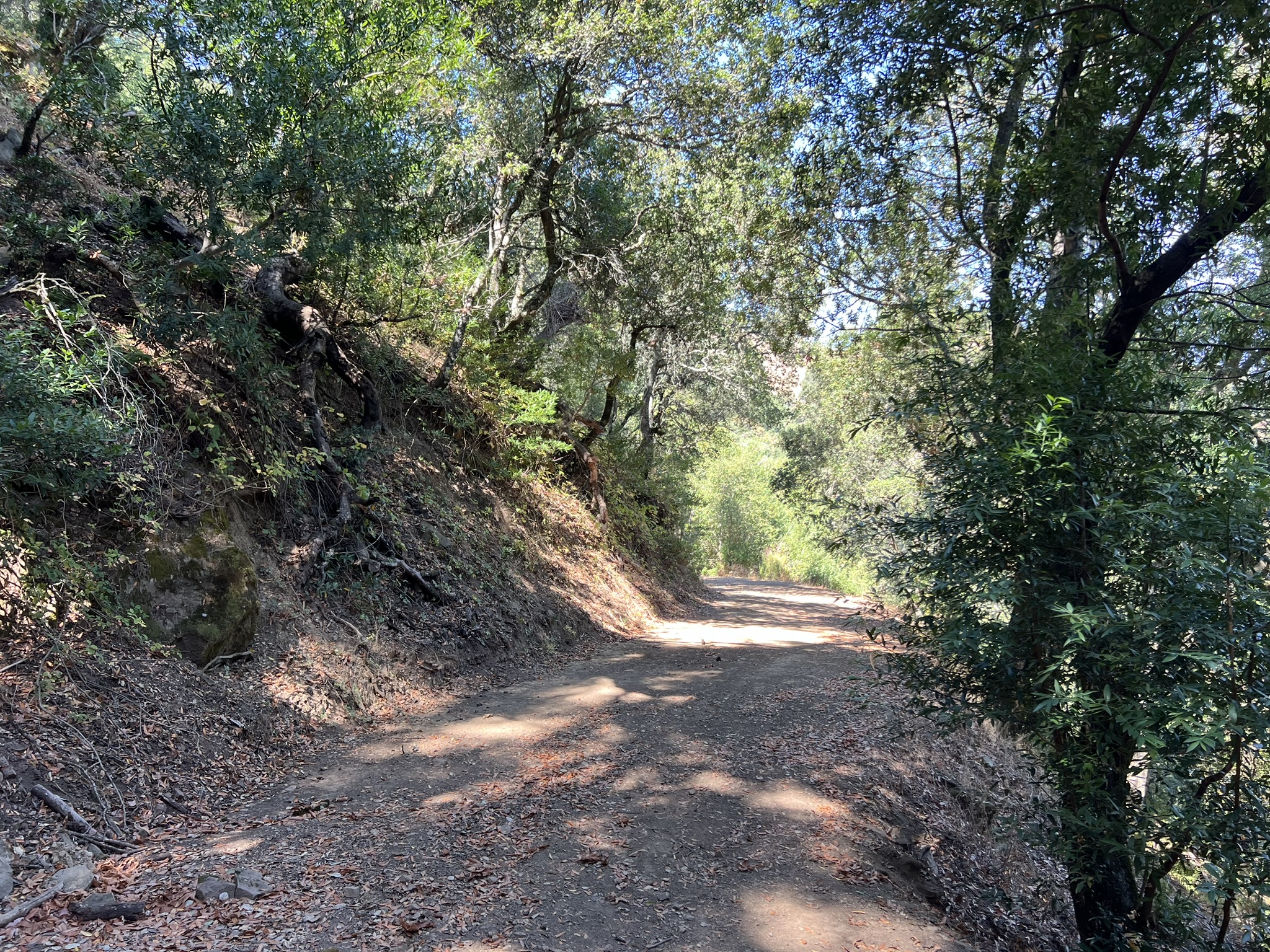 上路