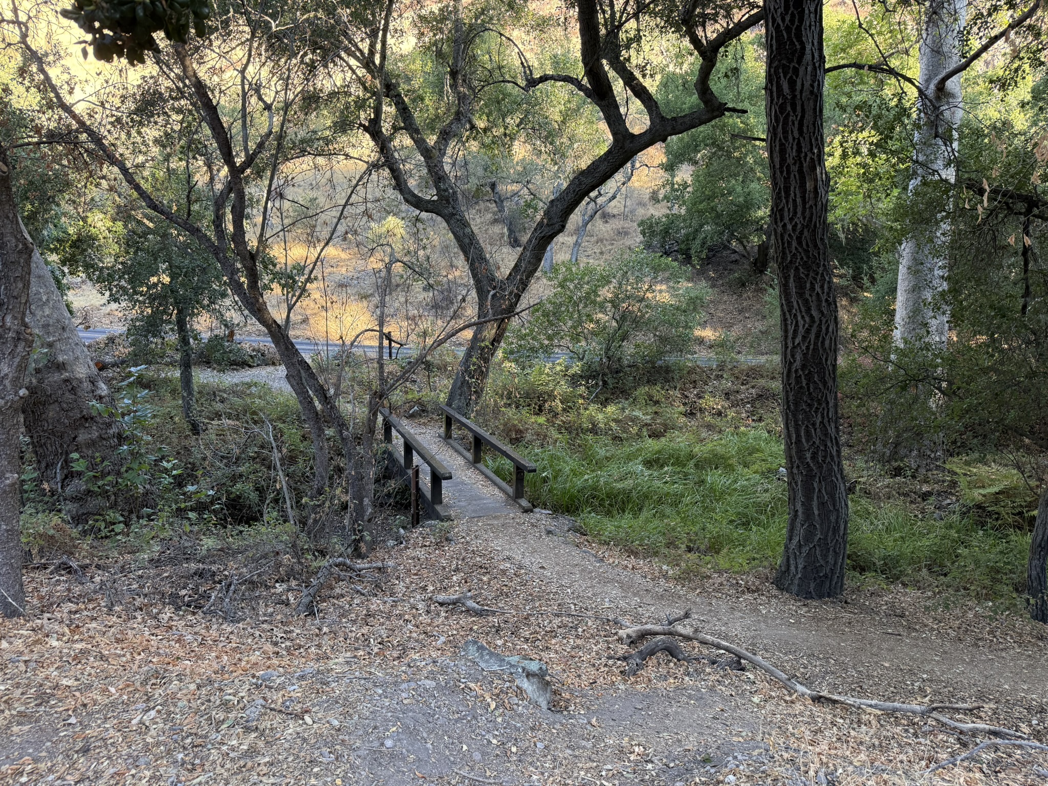 Bear Gulch Day Use Area