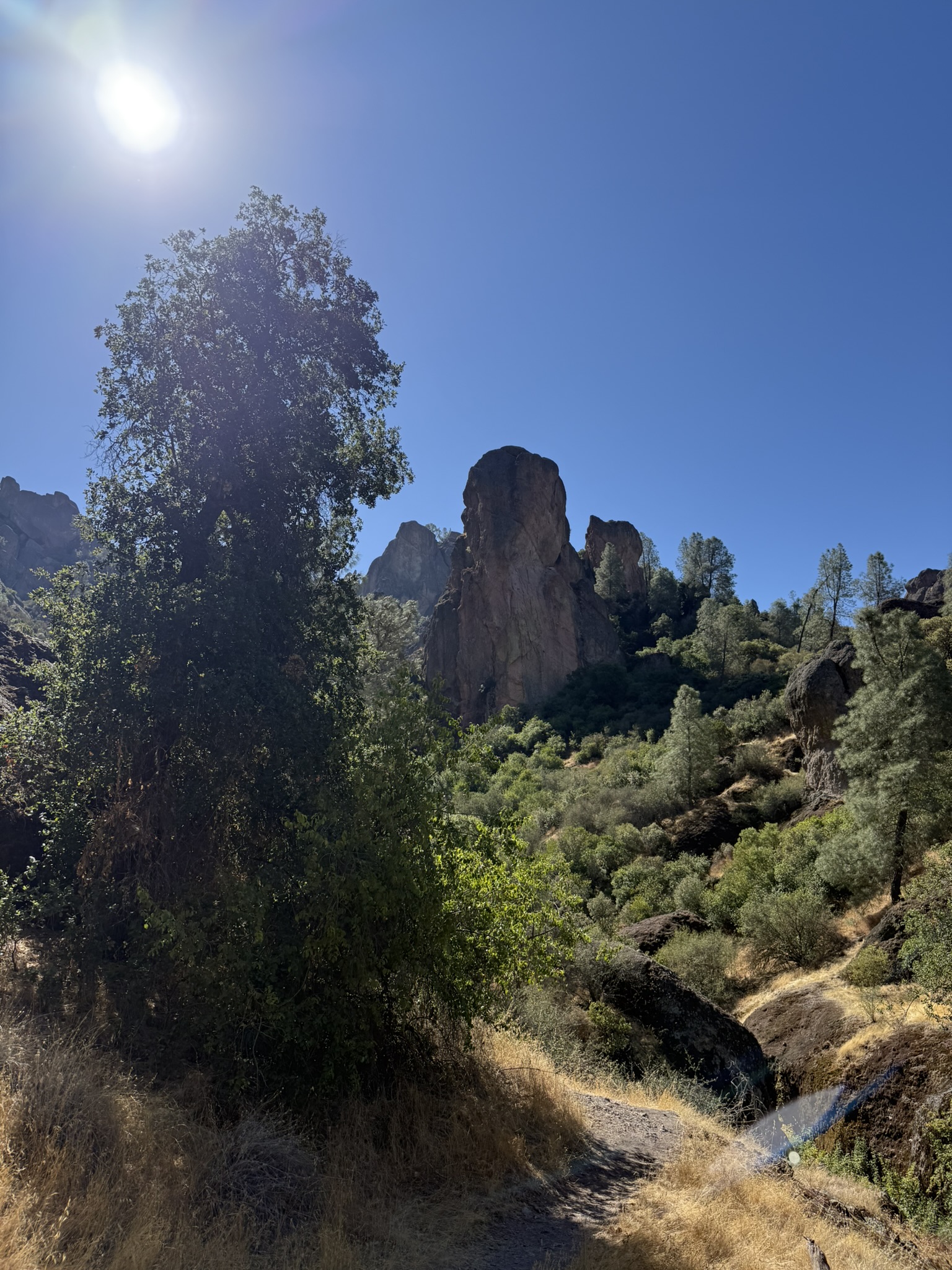 Juniper Canyon Trail