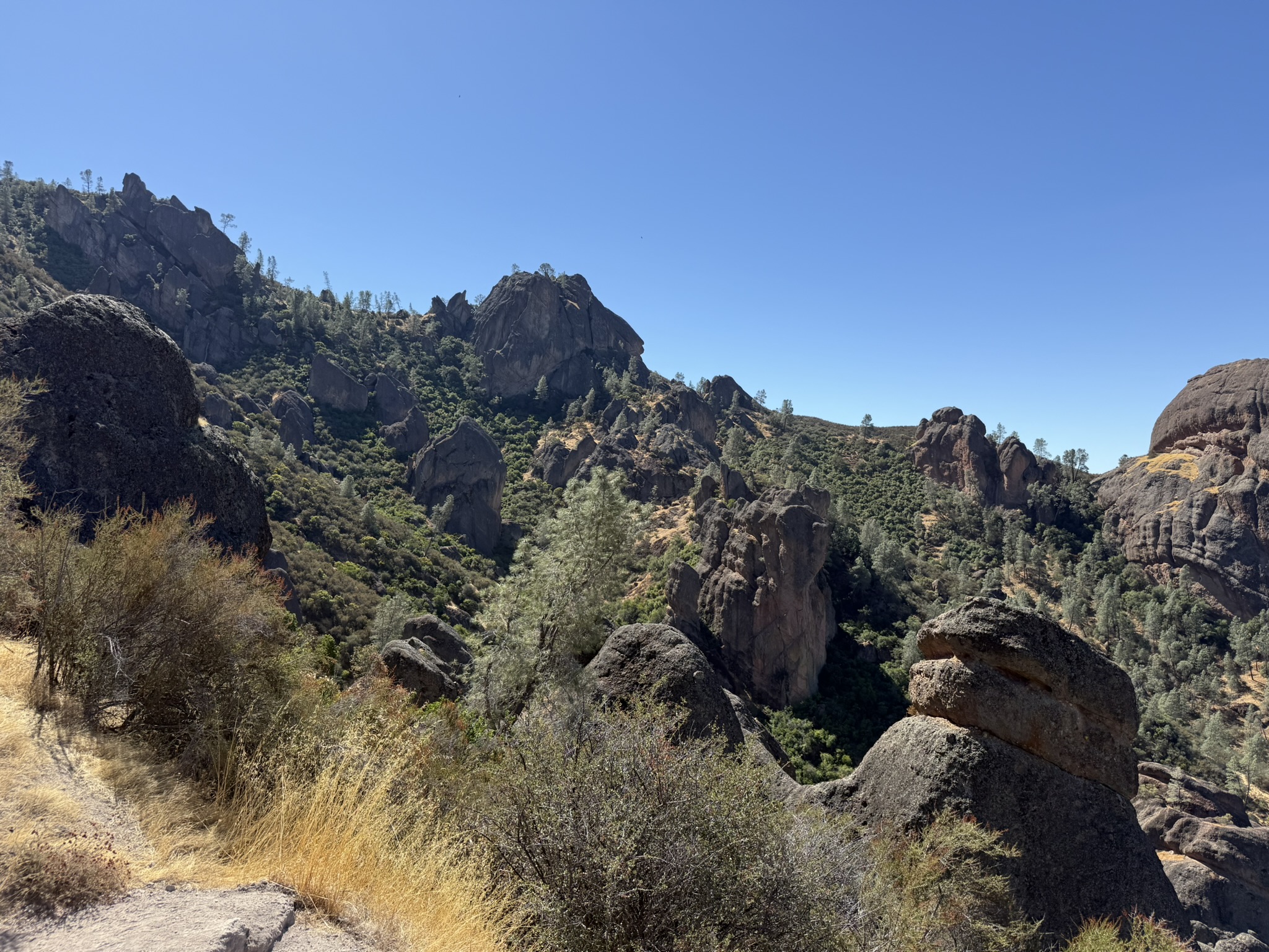 Juniper Canyon Trail