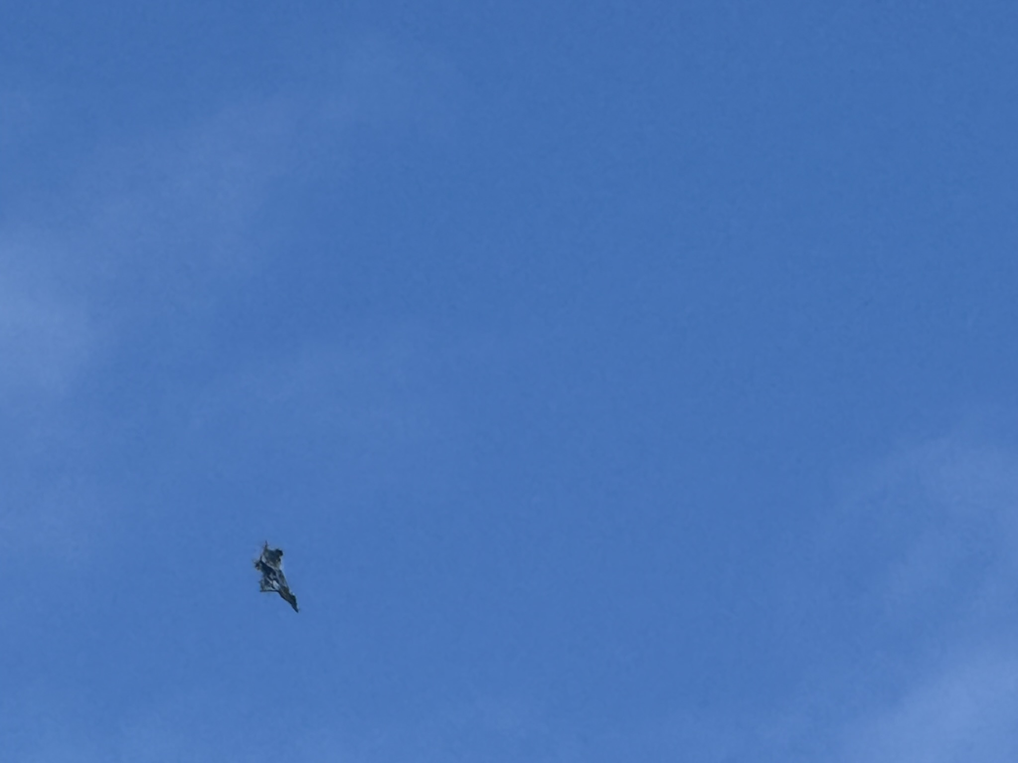 F-22