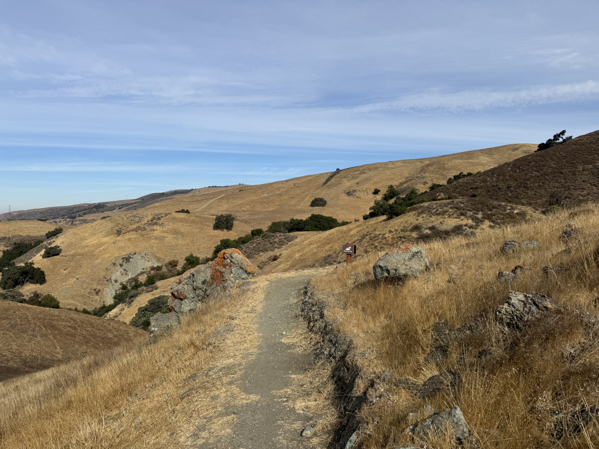 Bay Checkerspot Trail