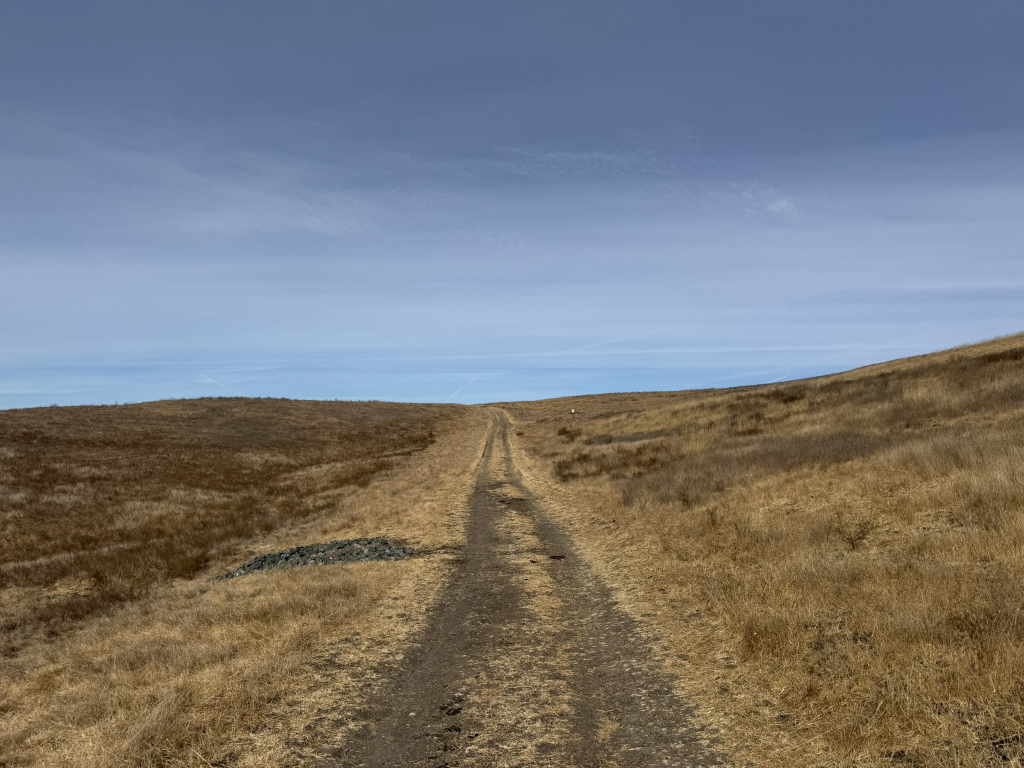 Tule Elk Trail