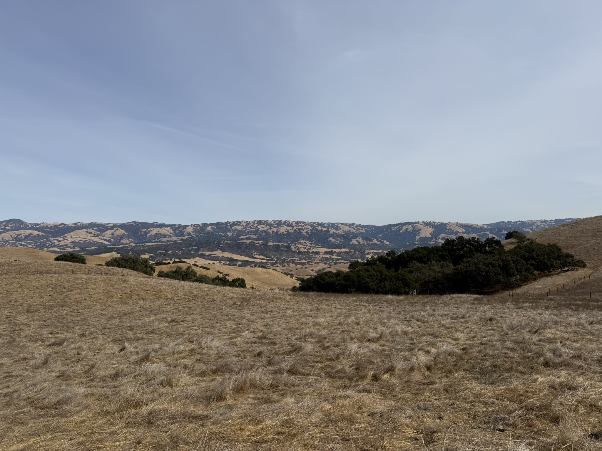 Tule Elk Trail