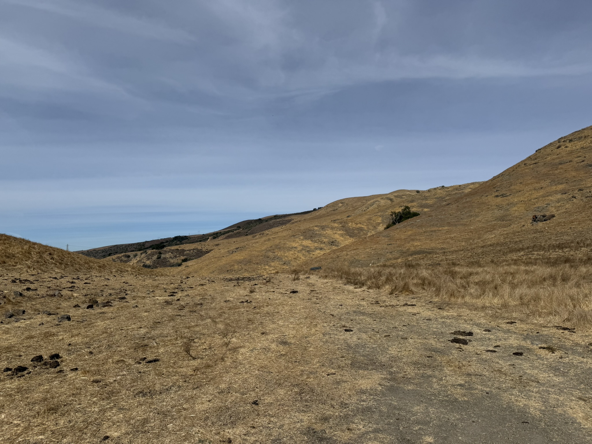 Serpentine Spring Trail