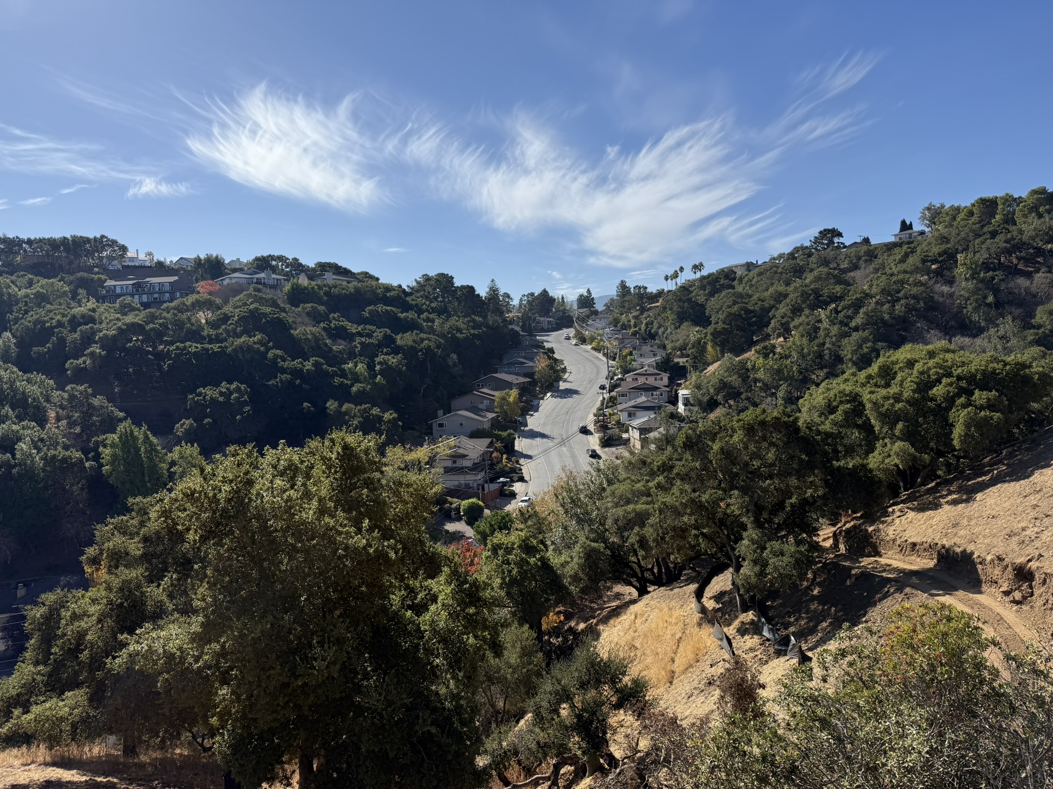 Oak Meadow Loop Trail